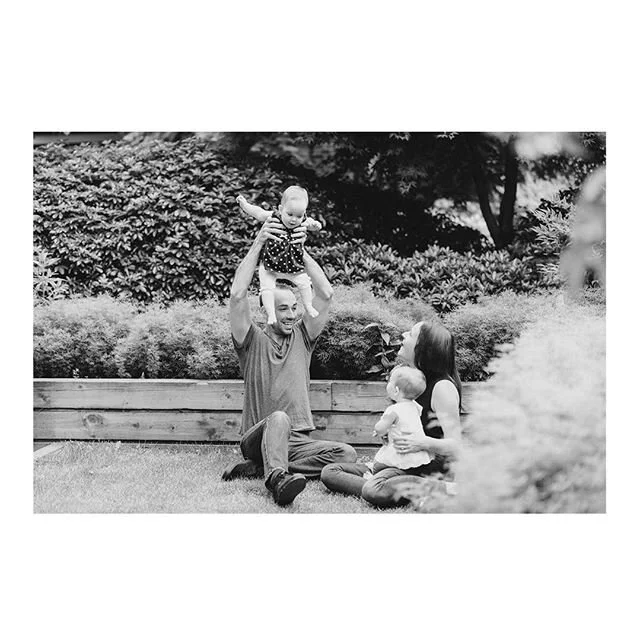 afternoon in the backyard