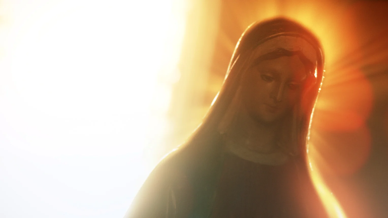 TheBookofBirdie_FilmStills_HD_00118.jpg