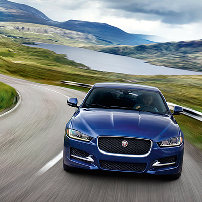jaguar_thumb.png