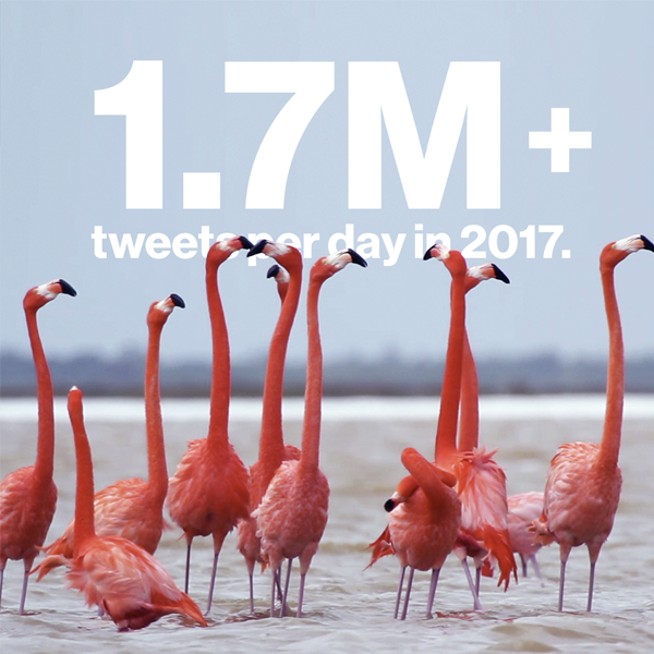 verizonsocial.png
