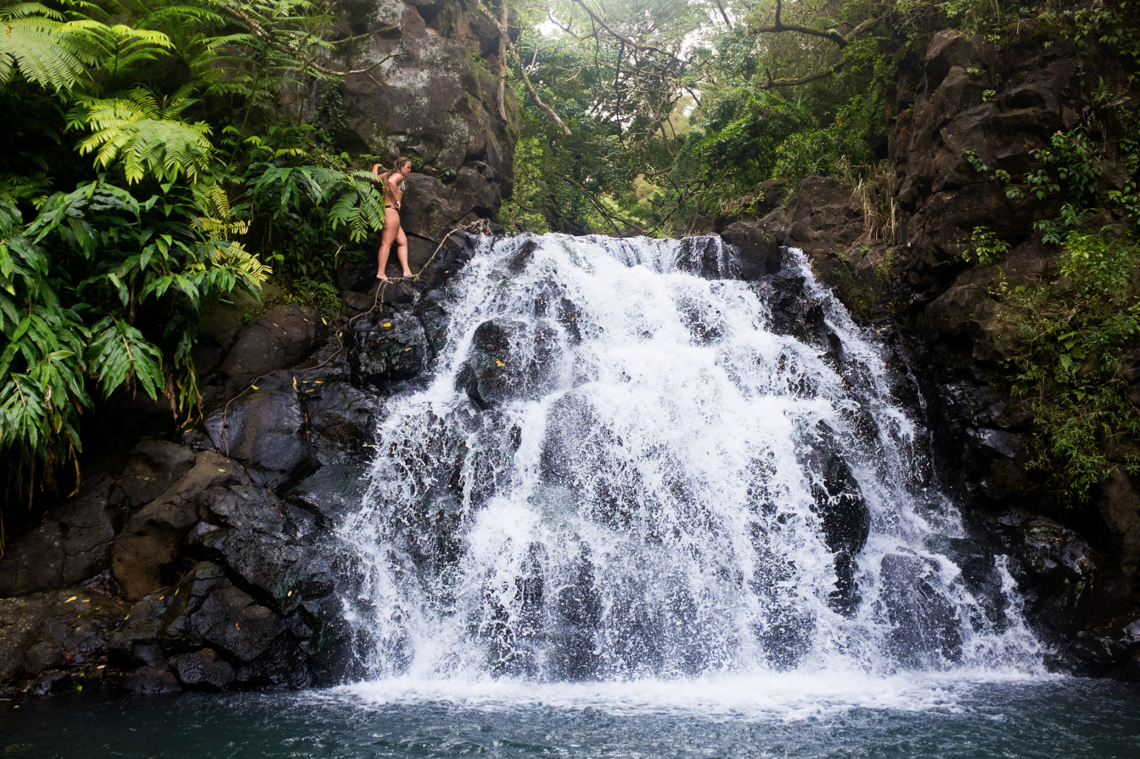 Day 4 &amp; 5 Hawaii 