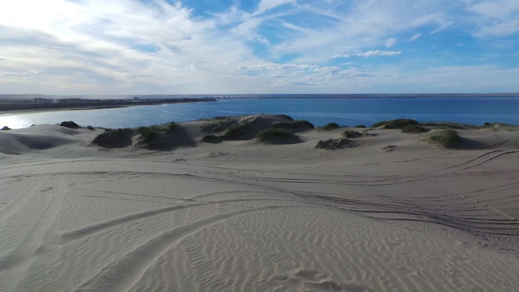4 excusas para visitar Puerto Madryn en verano
