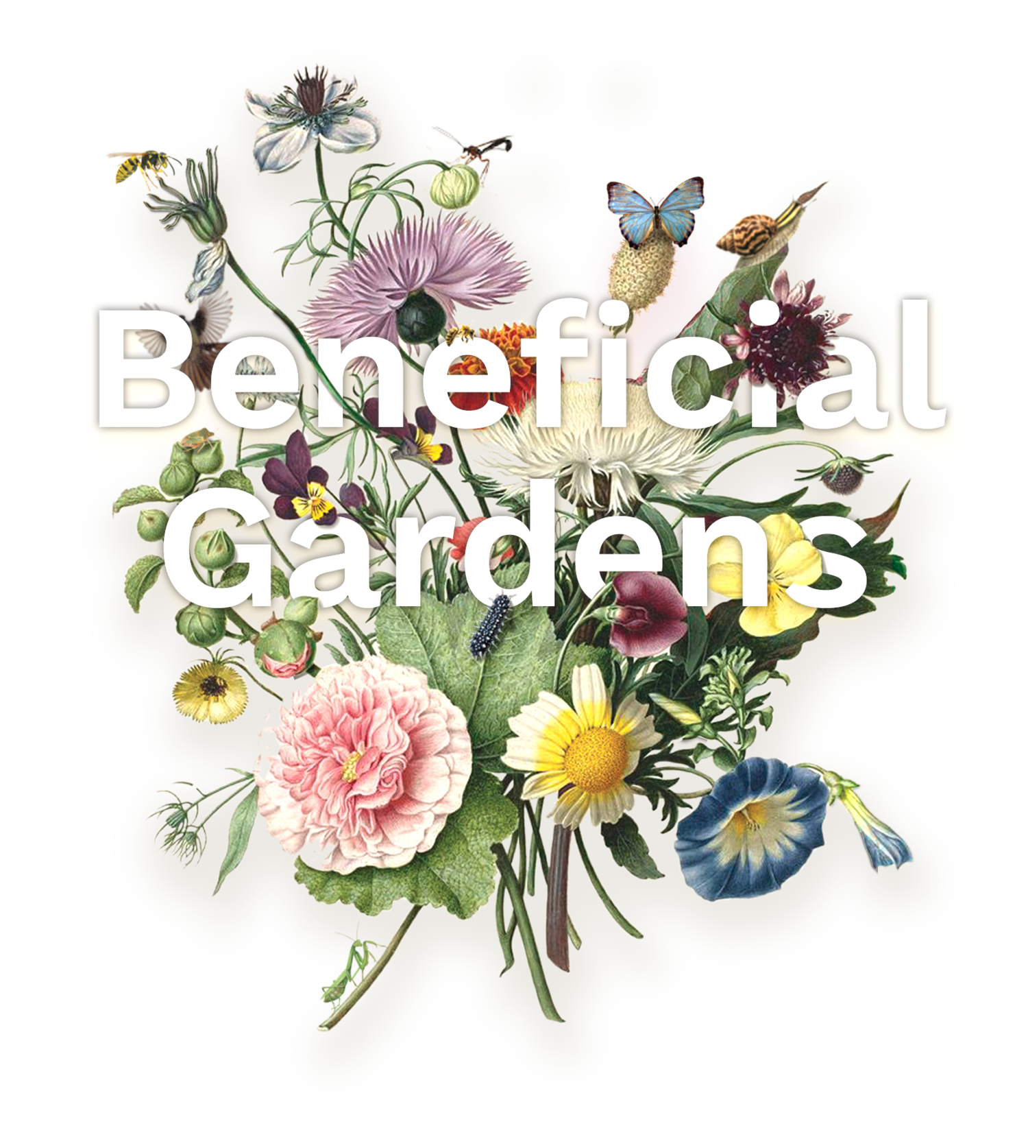 Beneficial Gardens