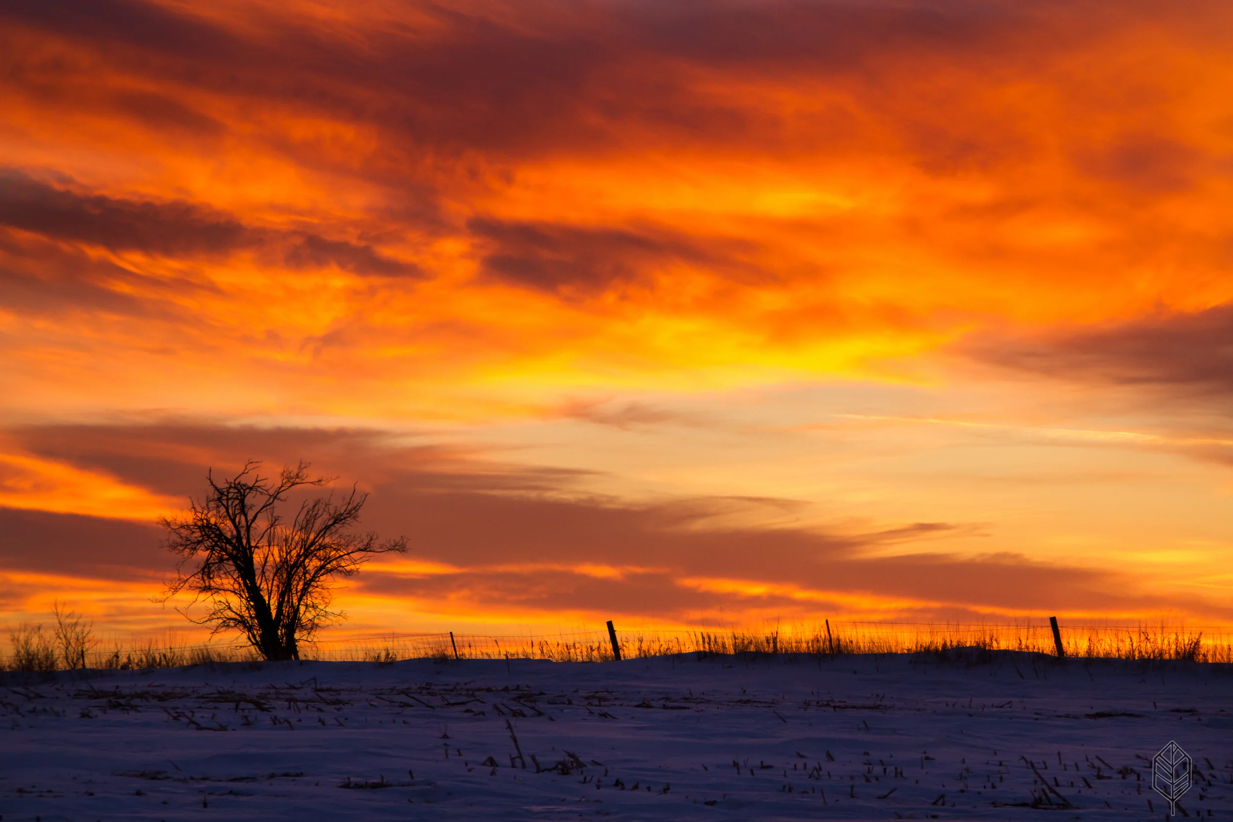 johnsonscreative_landscape-2.jpg