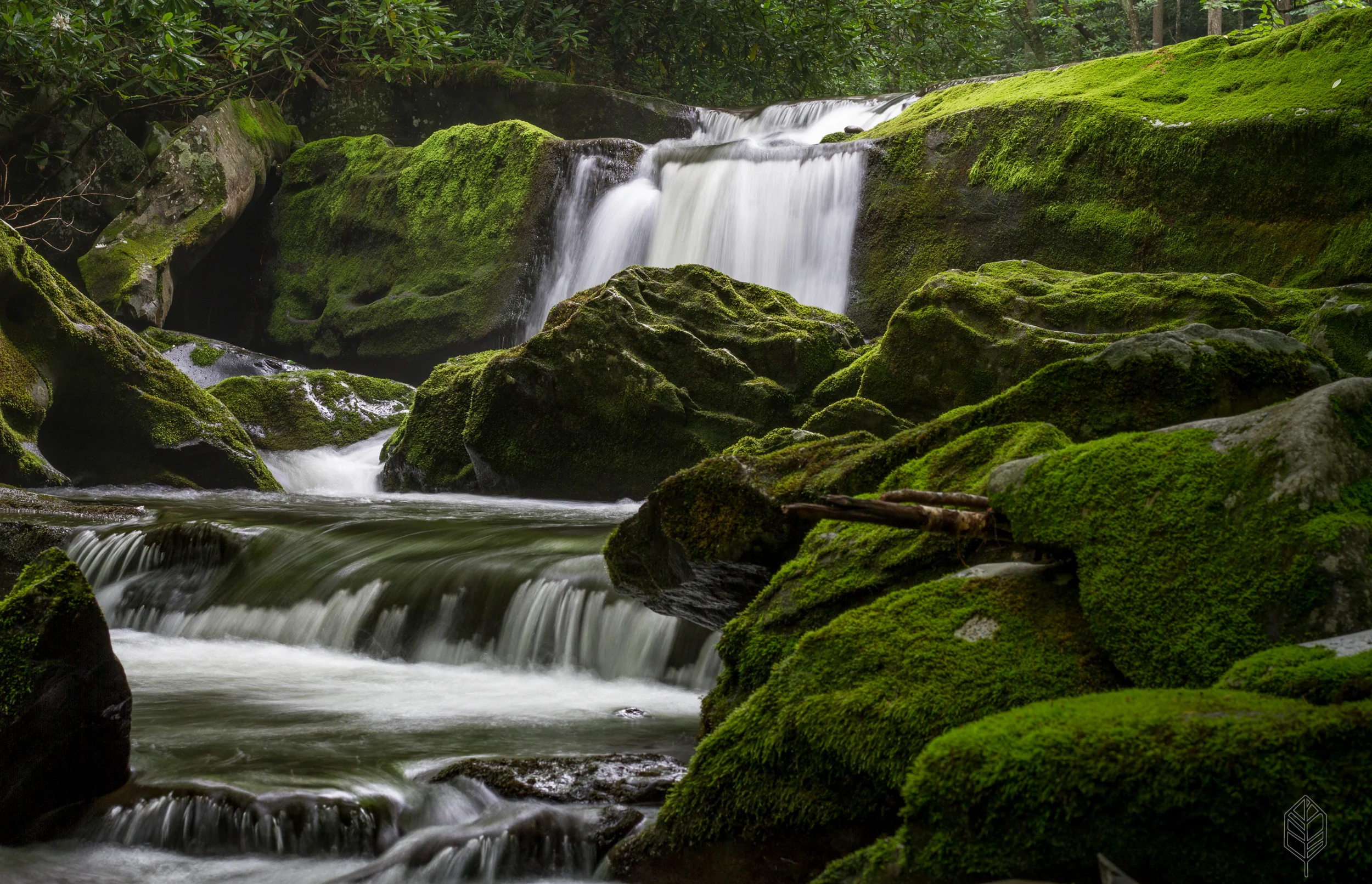 johnsonscreative_landscape-4.jpg
