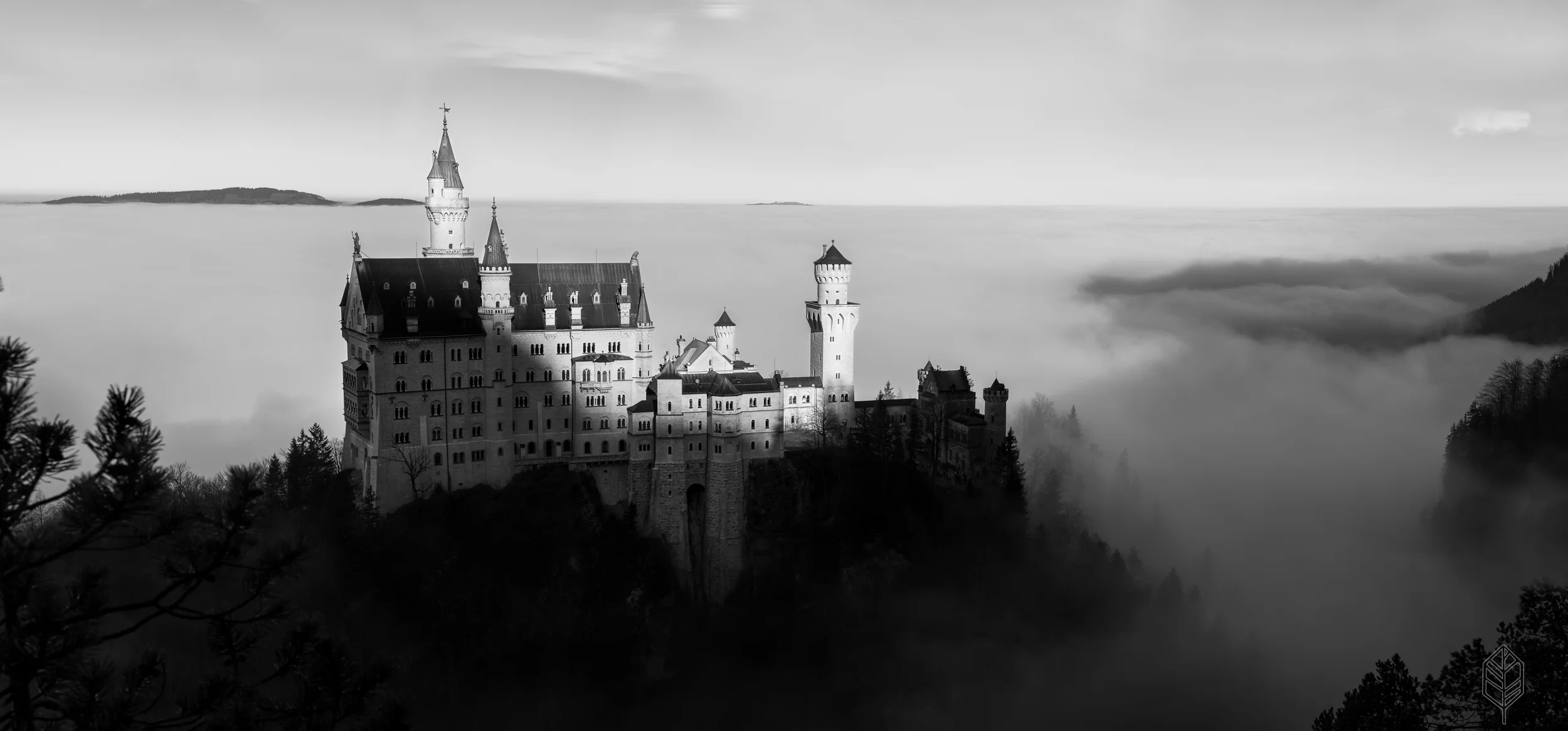 johnsonscreative_landscape-14.jpg