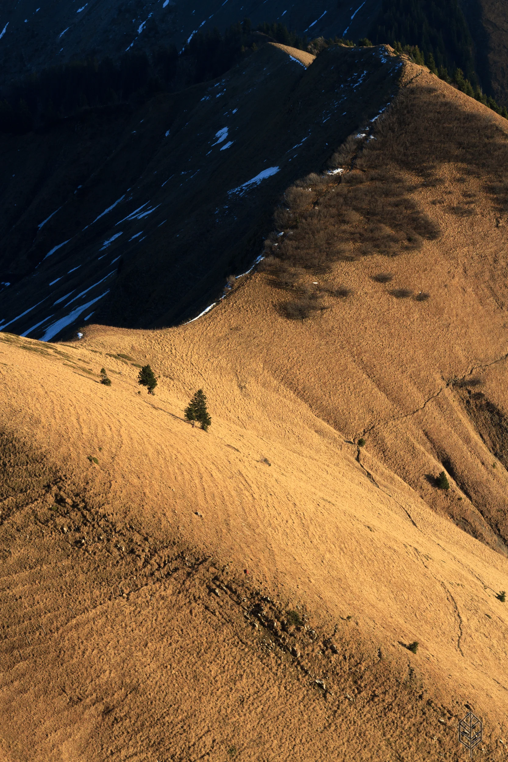 johnsonscreative_landscape-16.jpg