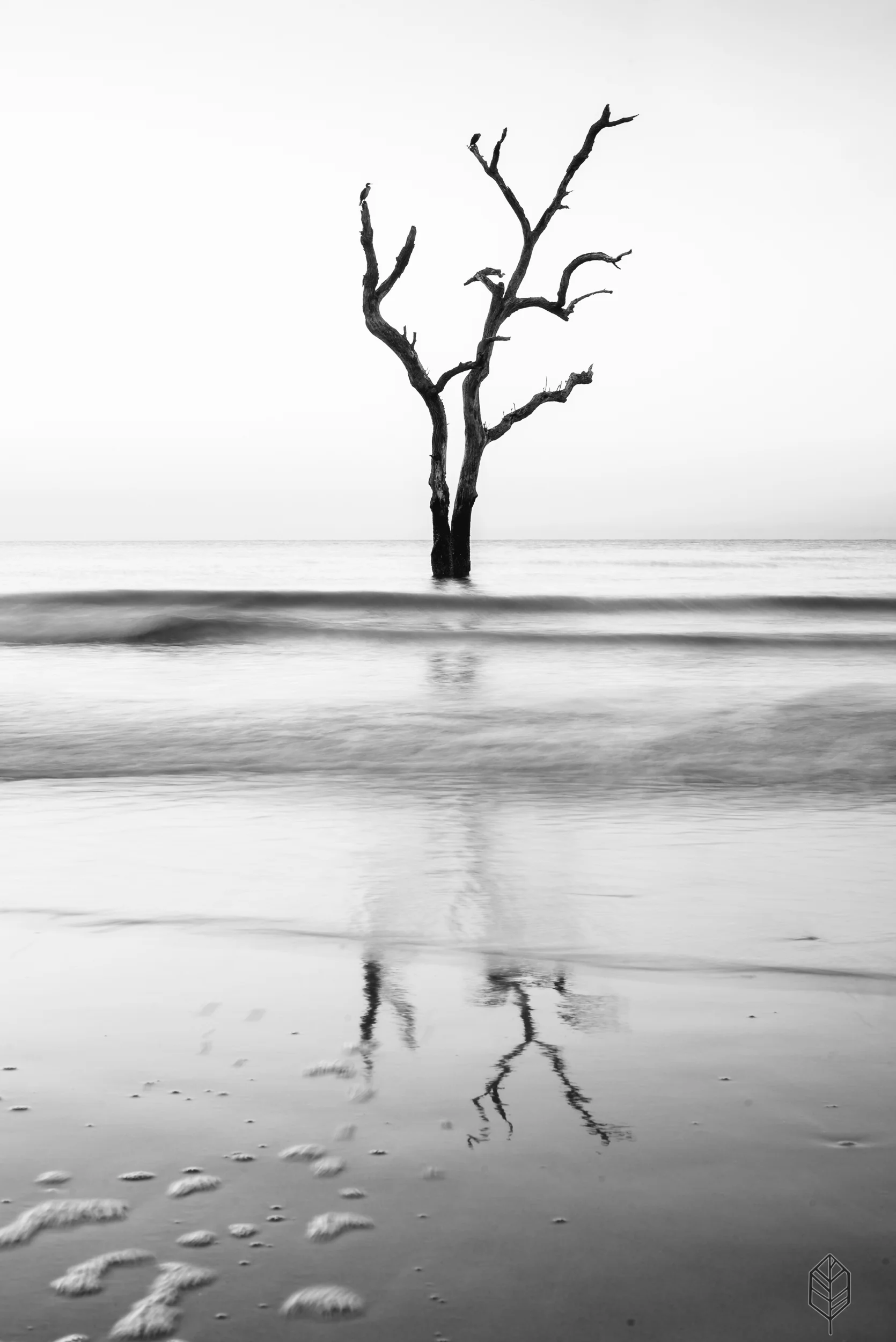 johnsonscreative_landscape-22.jpg