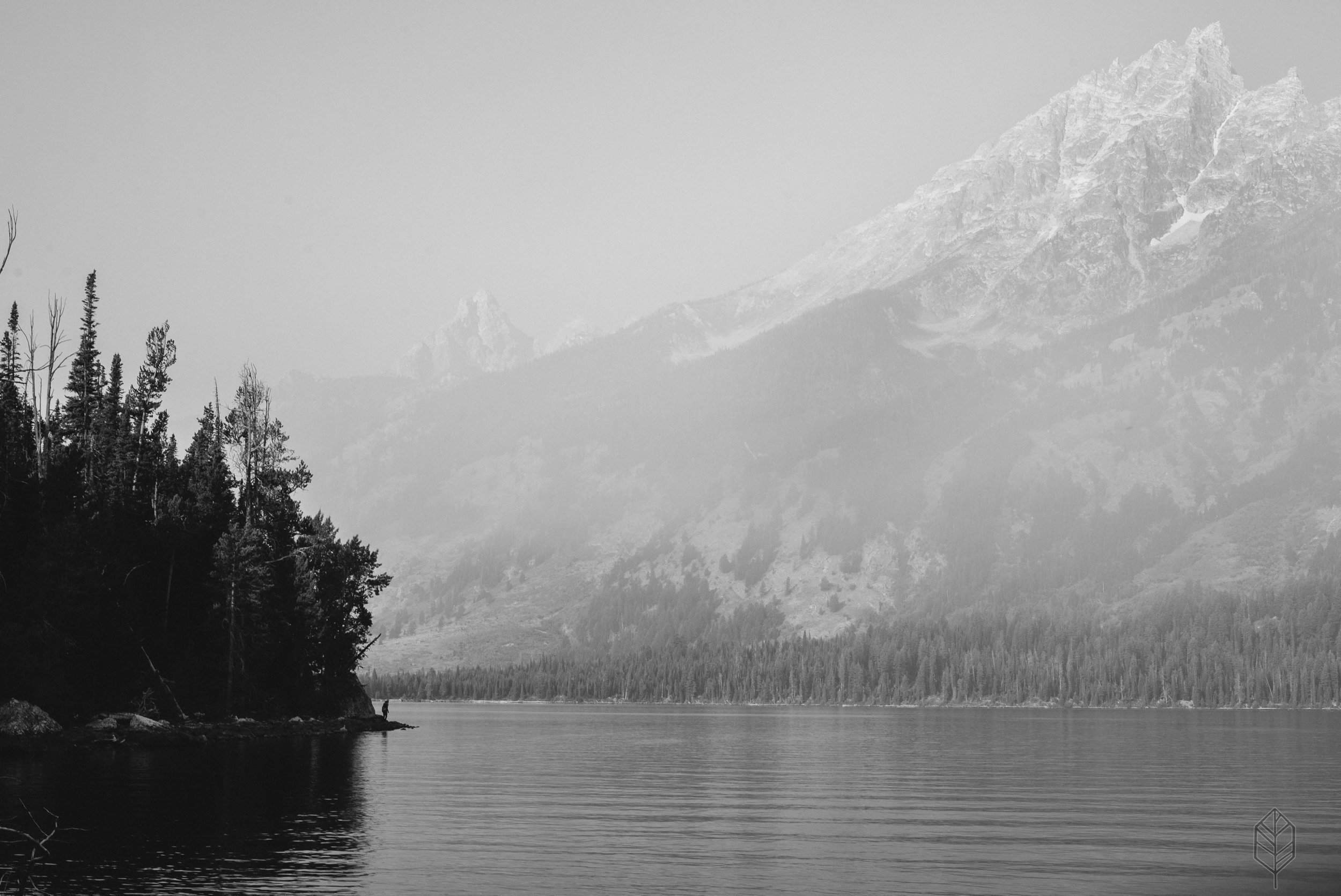 Jenny Lake