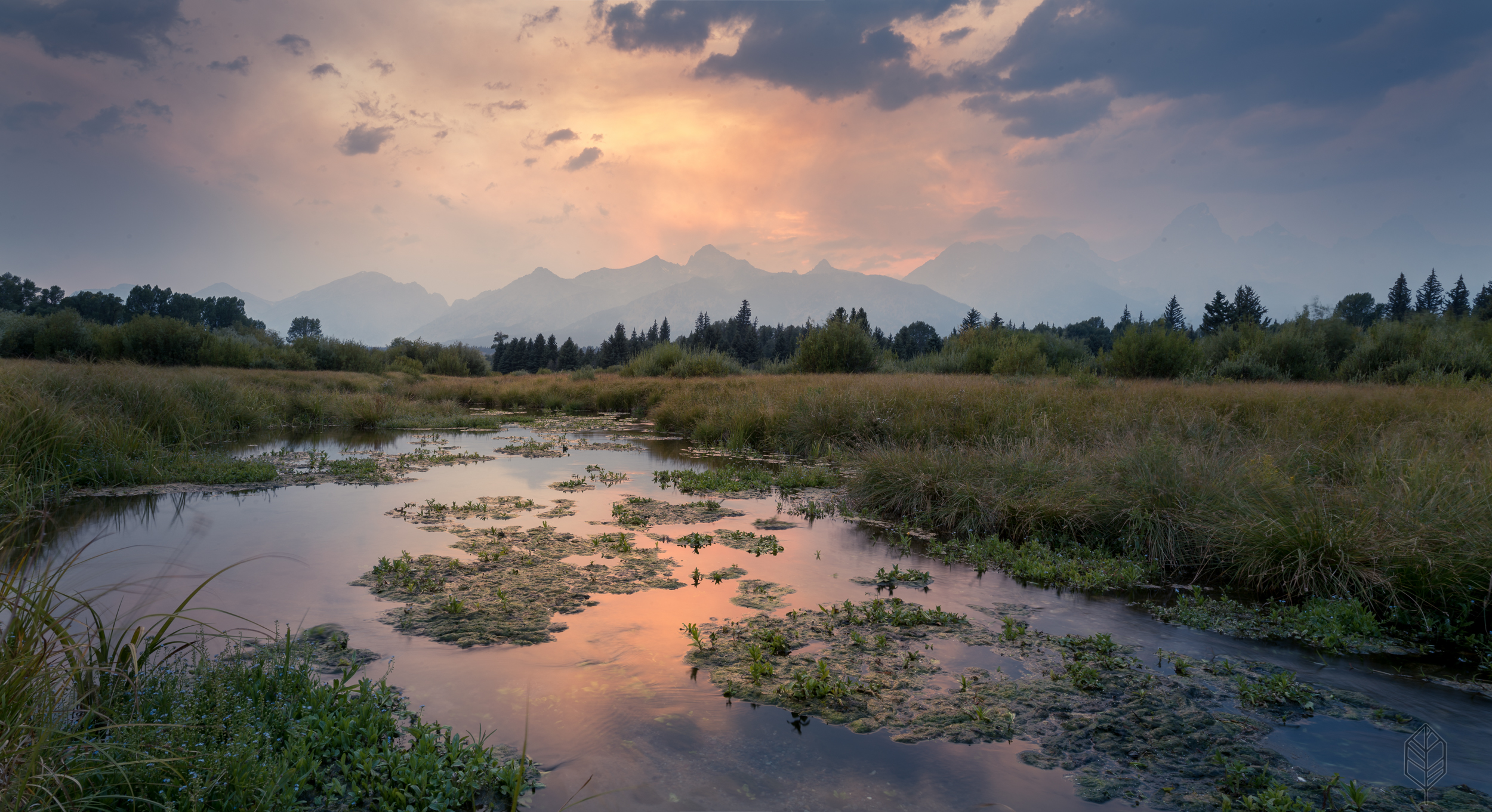 Blacktail Pond