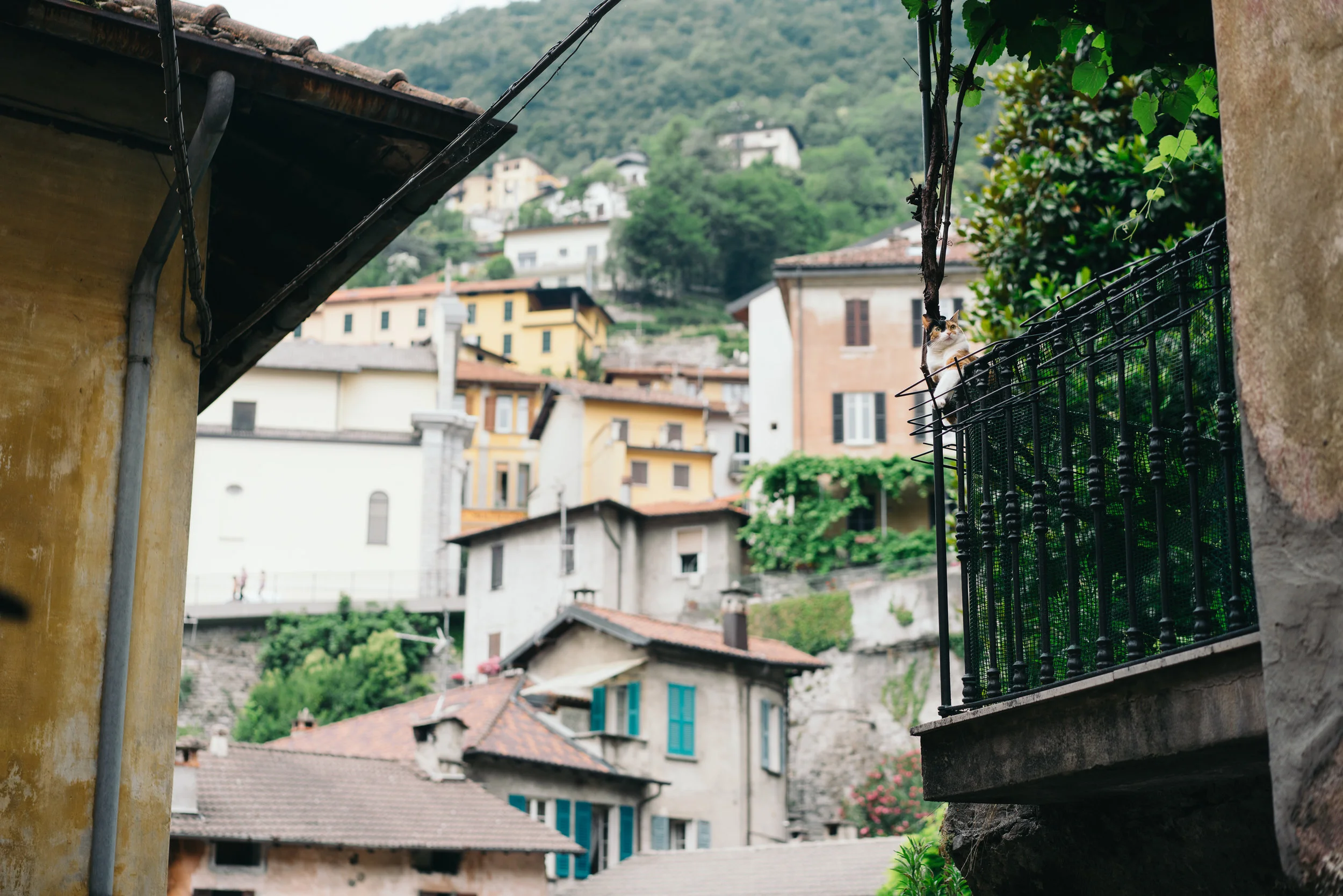 johnsonscreative_italy-10.jpg