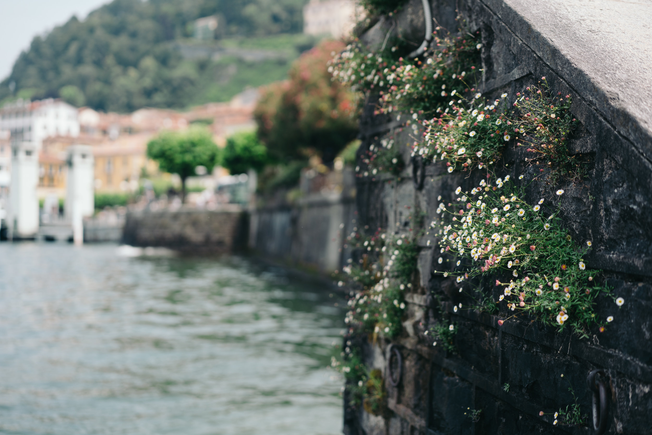 johnsonscreative_italy-25.jpg