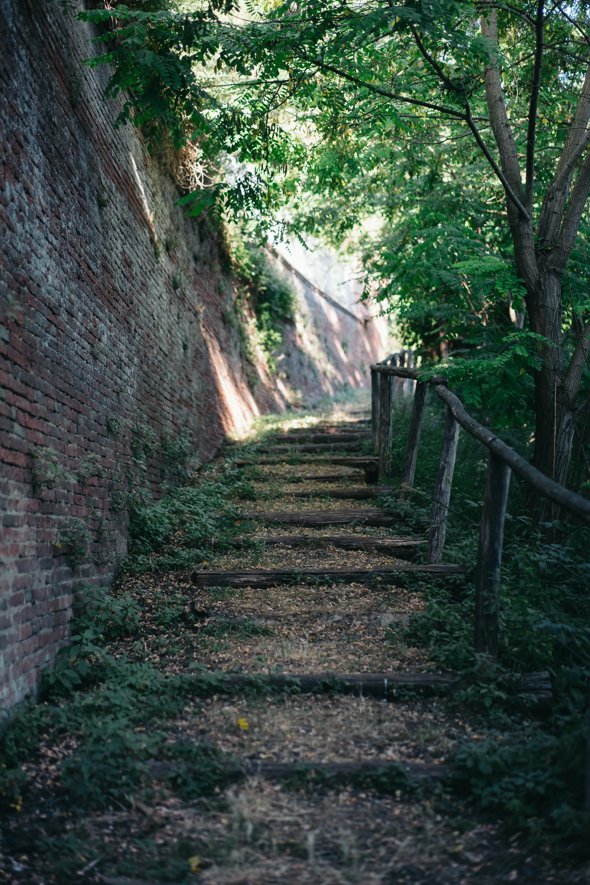 johnsonscreative_italy-64.jpg