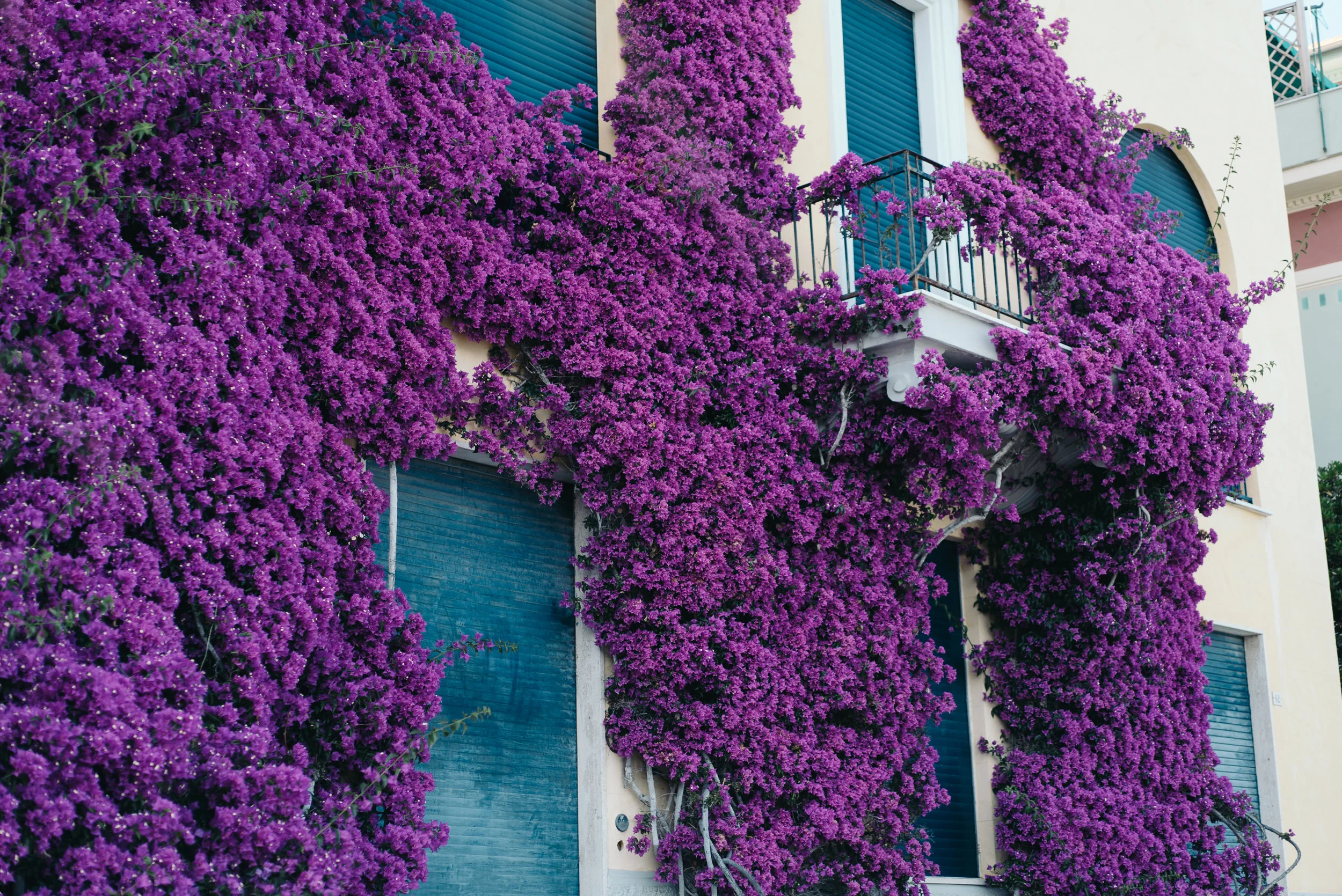 johnsonscreative_italy-80.jpg