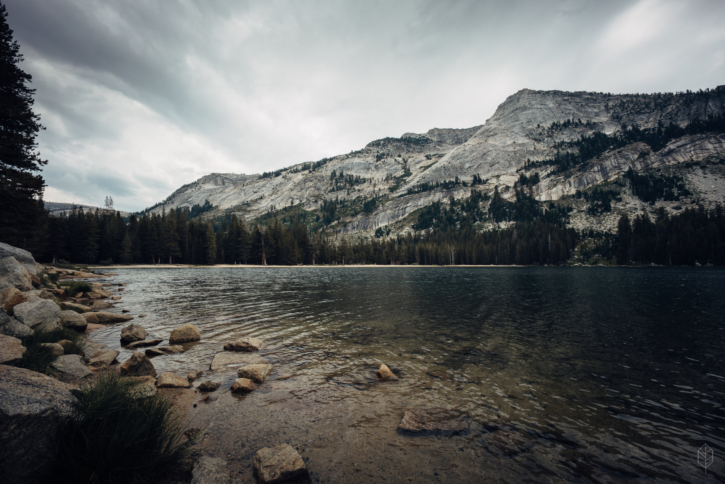 johnsonscreative_yosemite-16.jpg