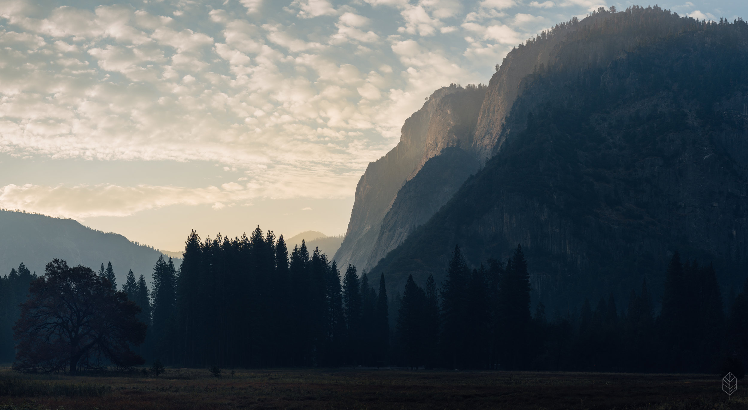 johnsonscreative_yosemite-37.jpg