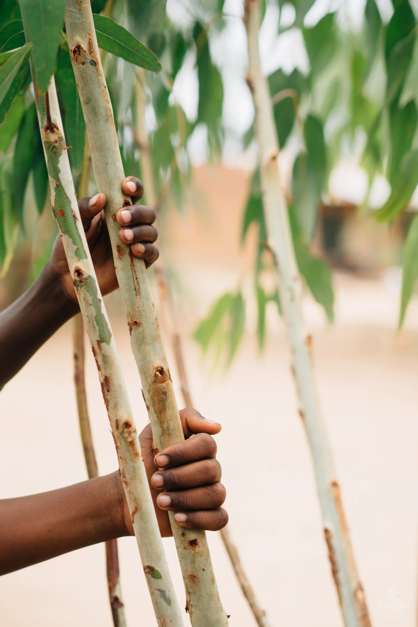 johnsonscreative-malawi-1778.jpg