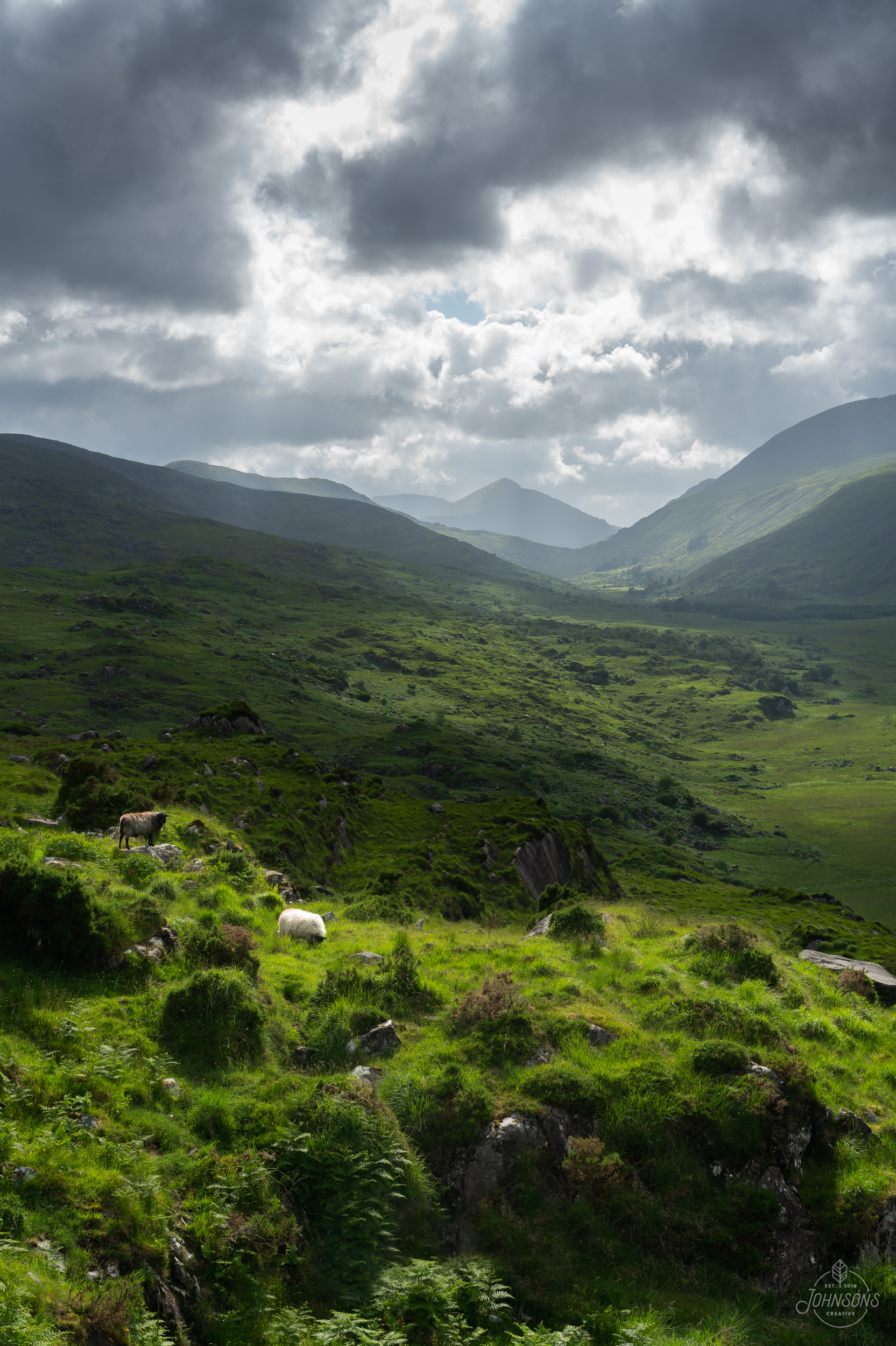  Sony a7rii | 55mm 1.8 | f11 | 1/80 sec | ISO 50 | Lee Circular Polarizing Filter    The Southern side of the park was full of crazy vistas and a few sheep on the road.    This image is available for print,  click here to order . 