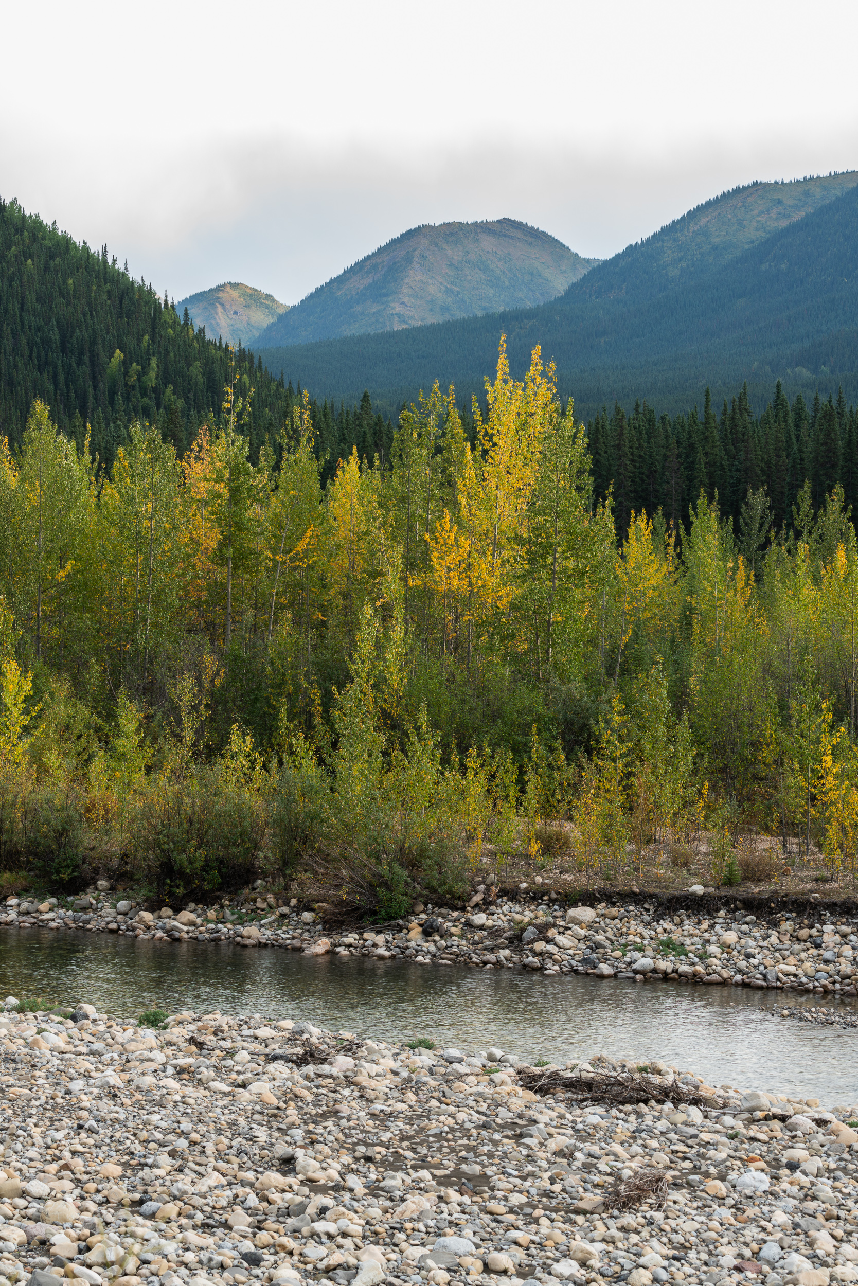 Fall Colors, Northern Rockies