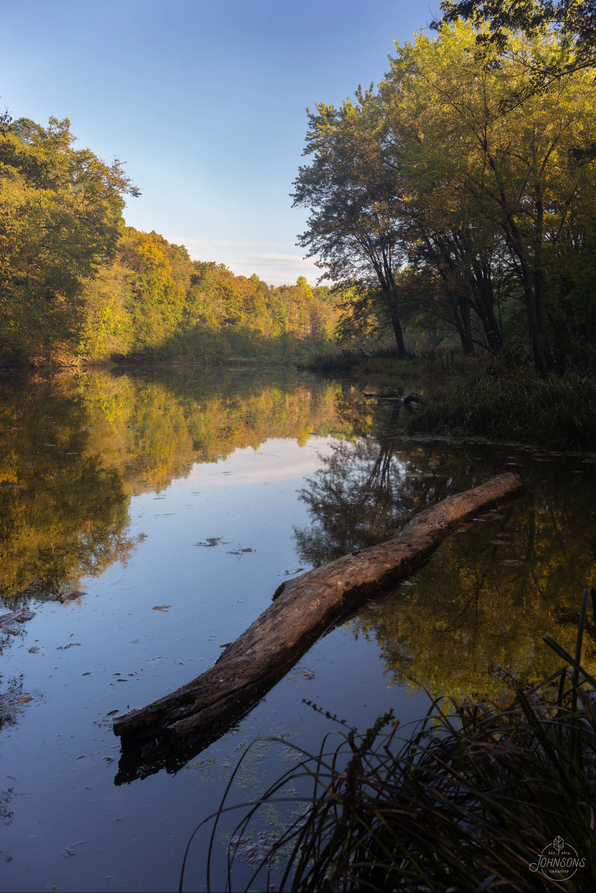 Backbone State Park, IA