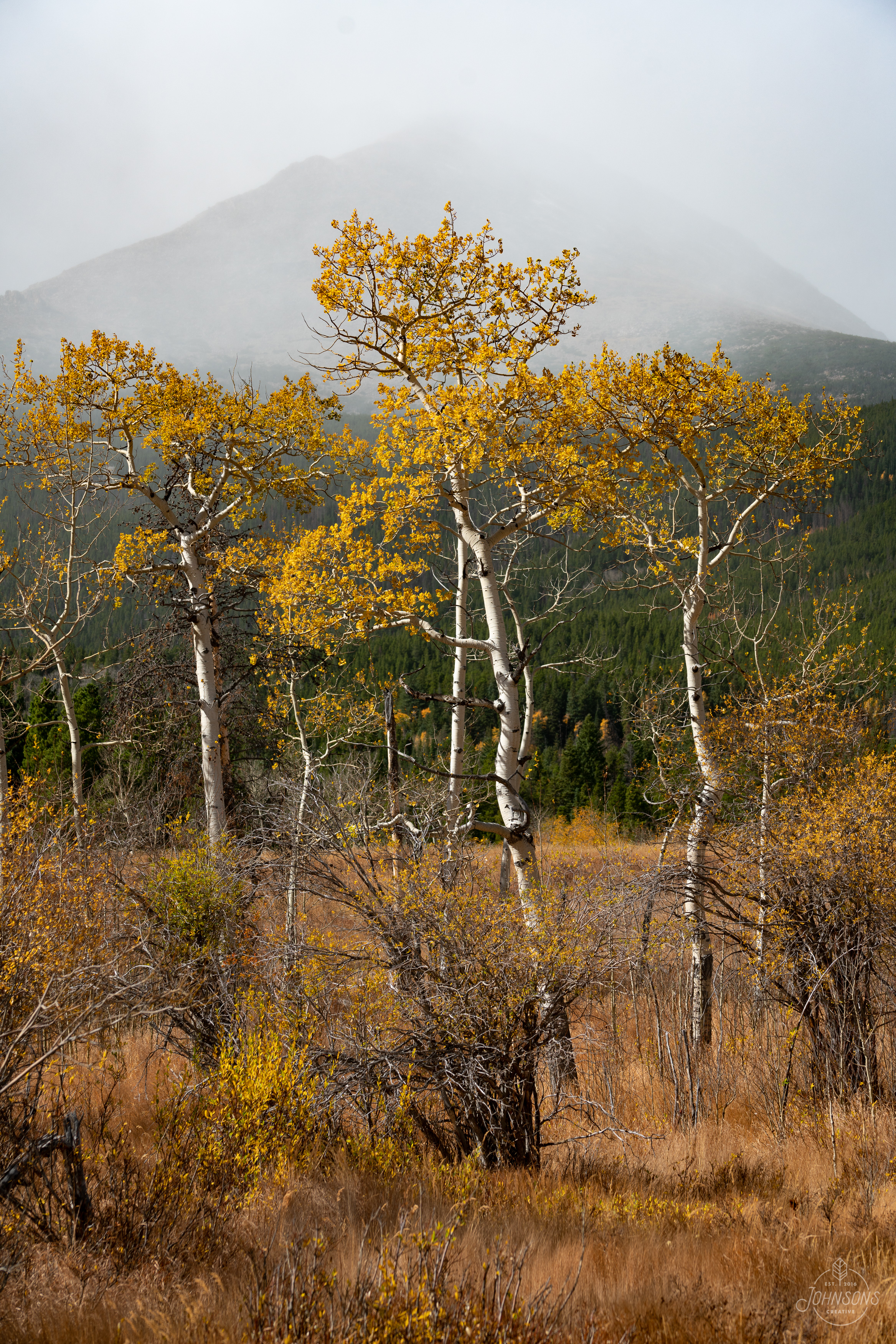 Rocky Mountain National Park, CO