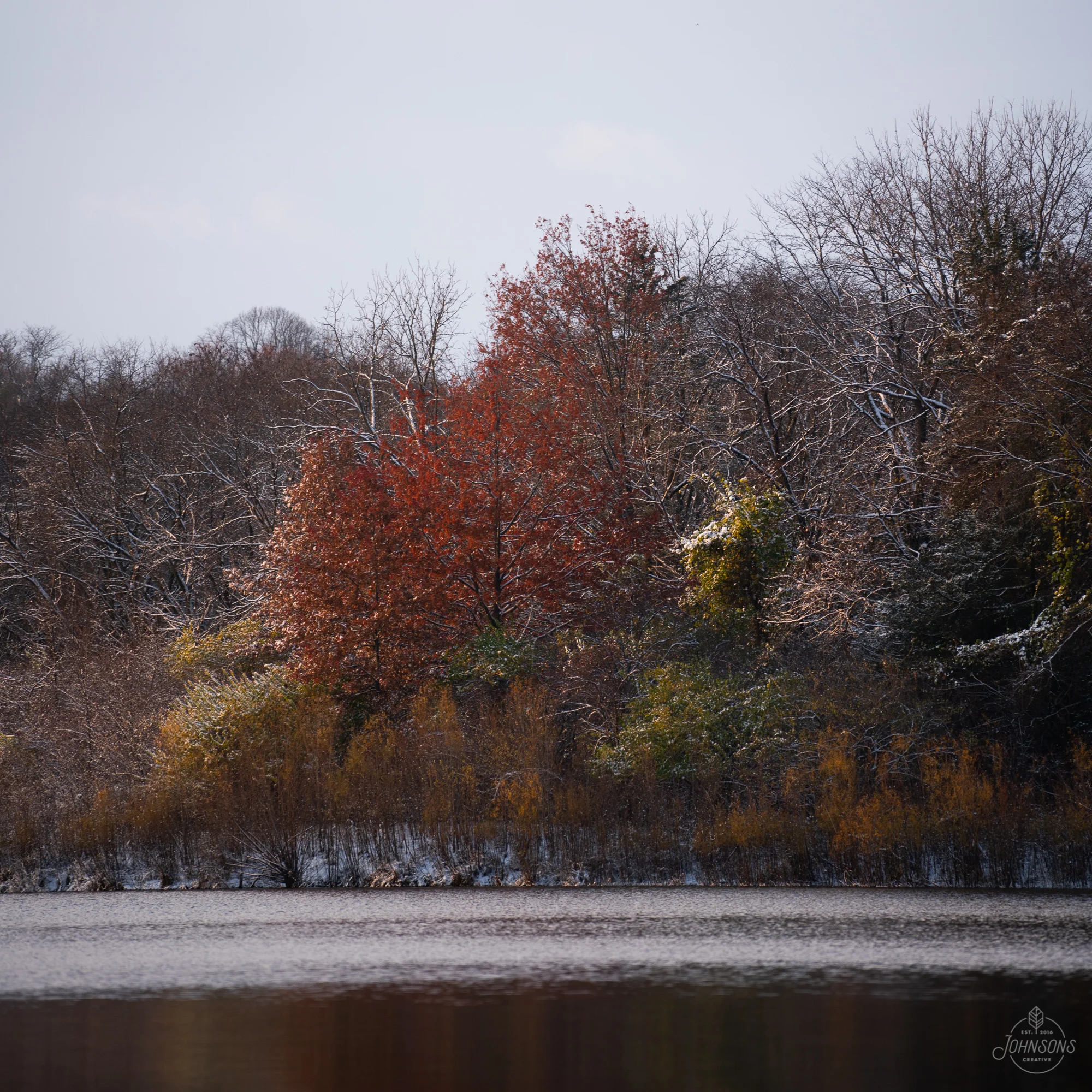 Cedar Falls, IA