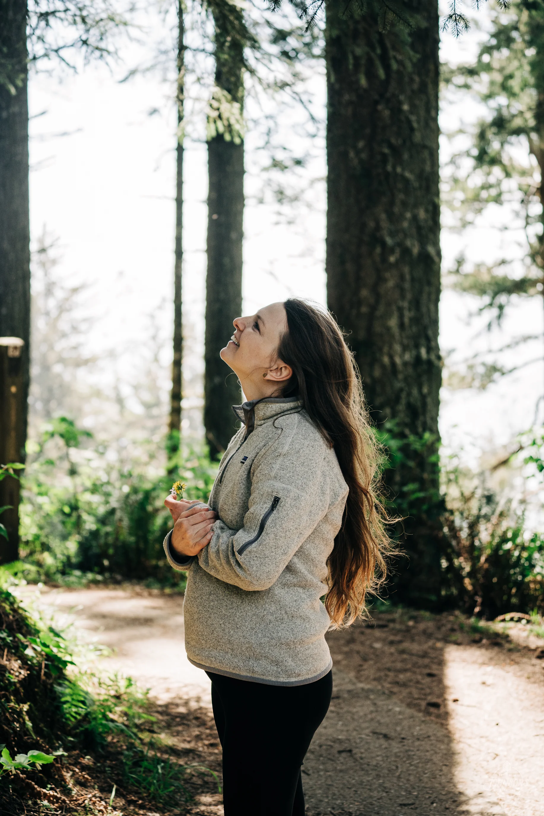 redwoods_johnsonscreative-2.jpg