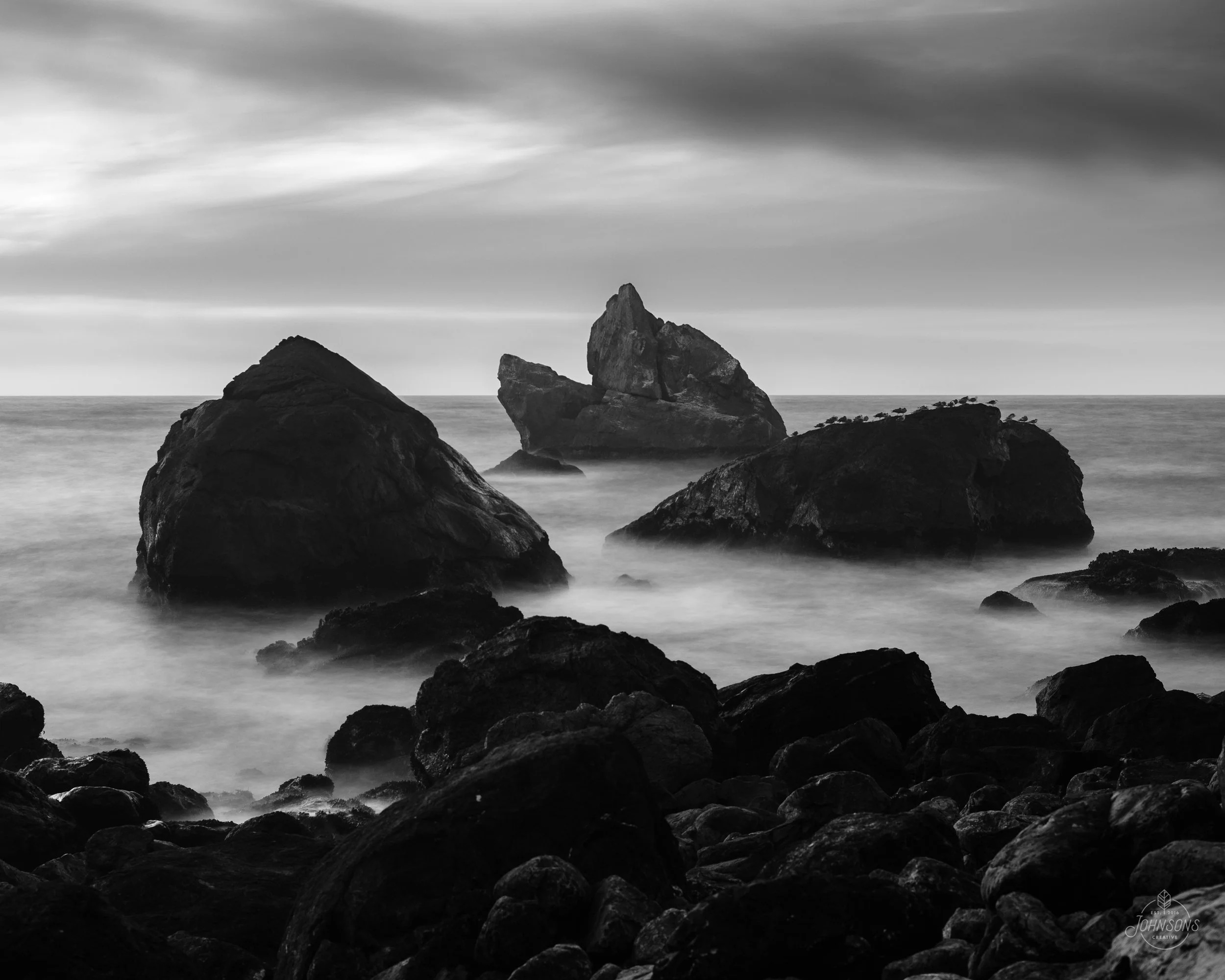 redwoods_johnsonscreative-14.jpg