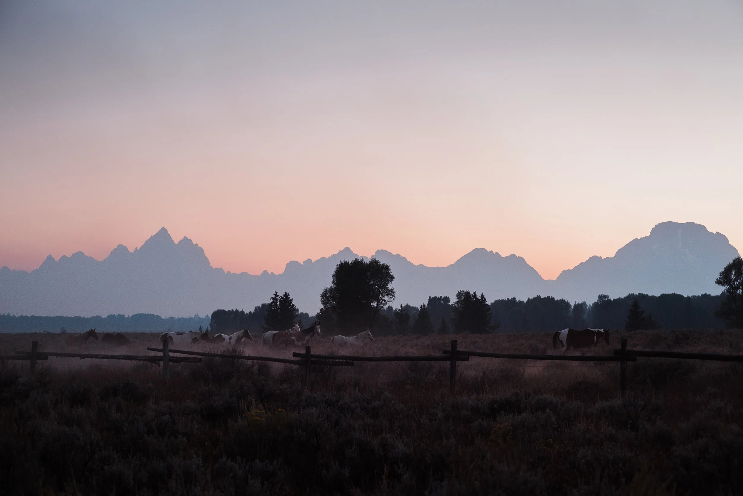 Jackson HolePrints_jan14-2.JPG