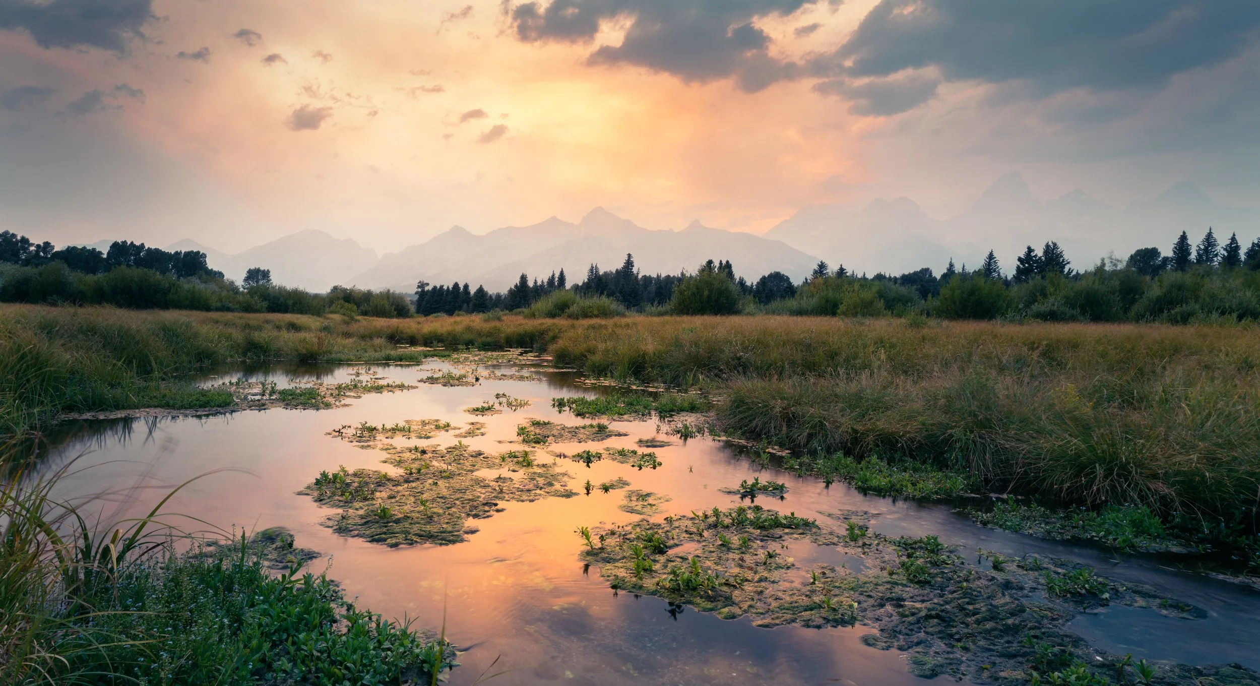 Jackson HolePrints_jan14-3.JPG