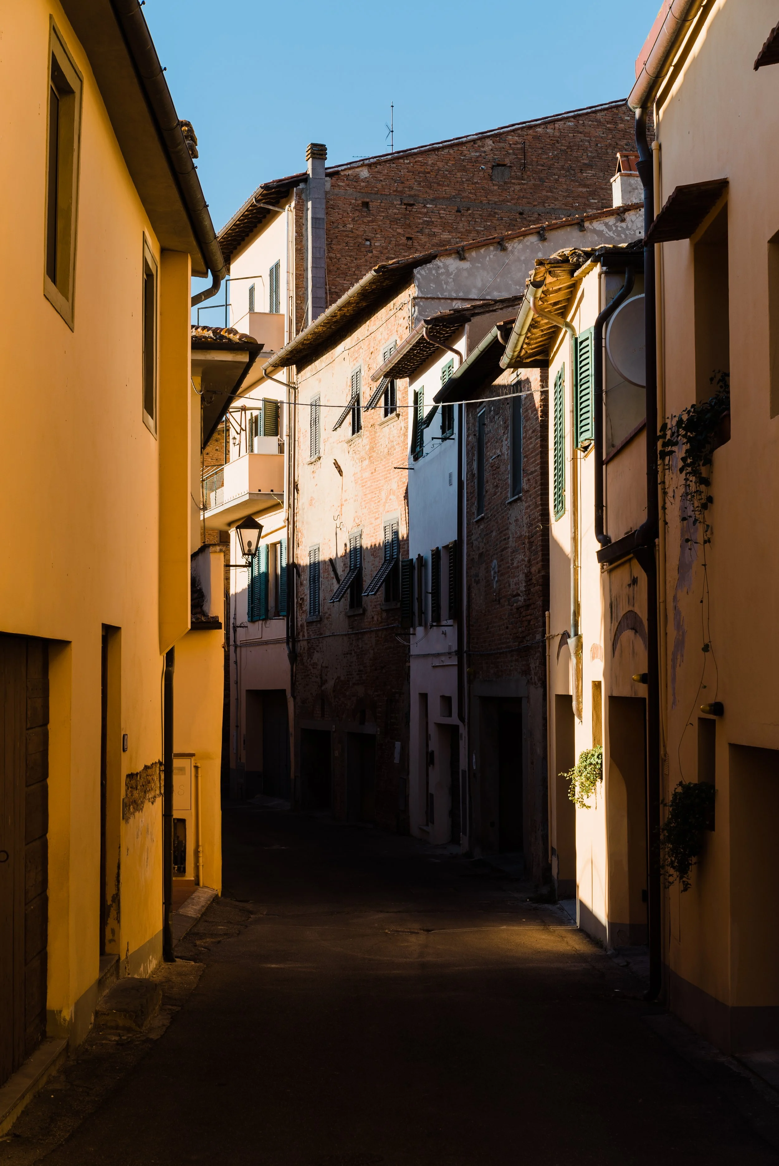 Day 6 San MiniatoPrints_jan14.JPG