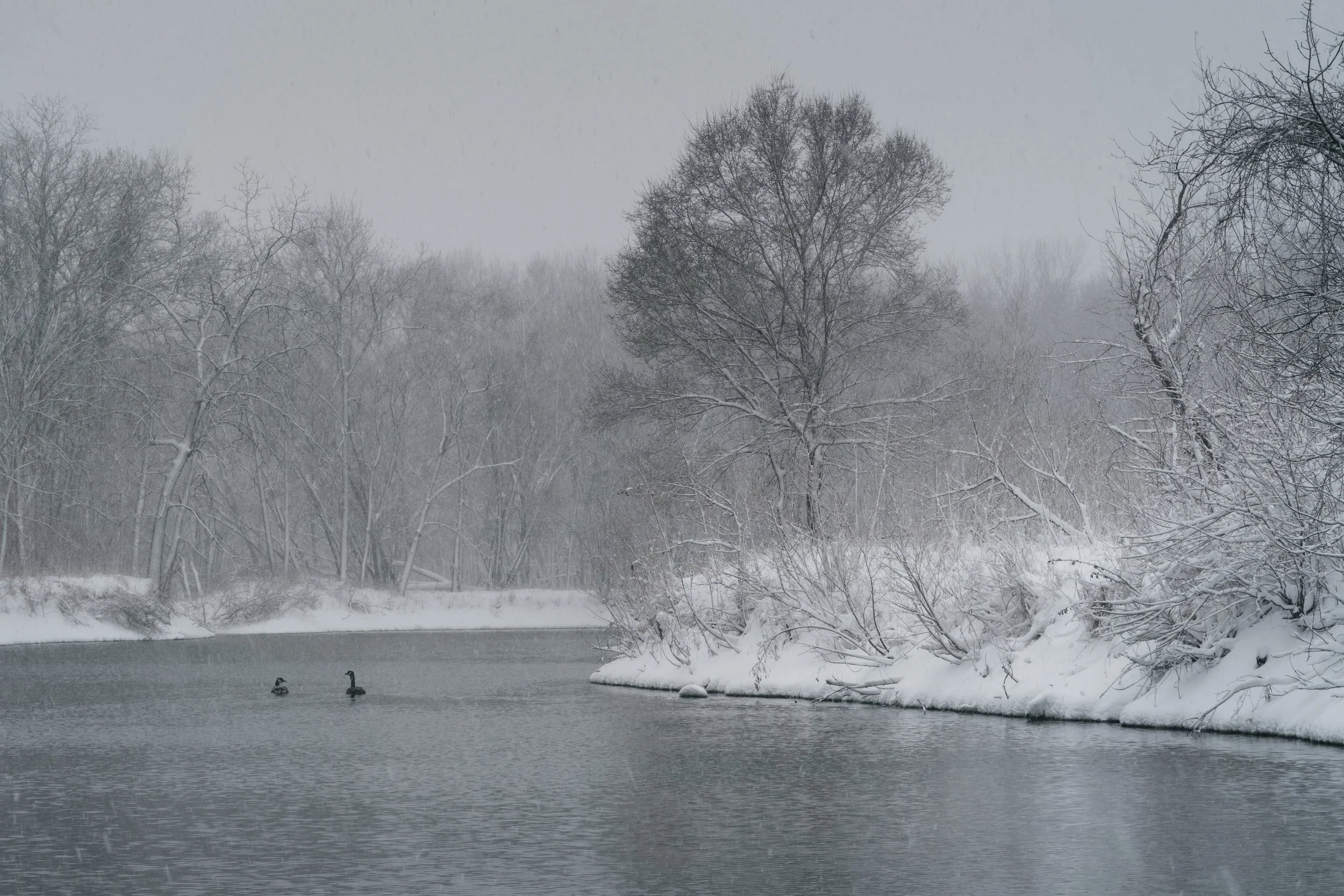 1. March 24Prints_jan14.JPG