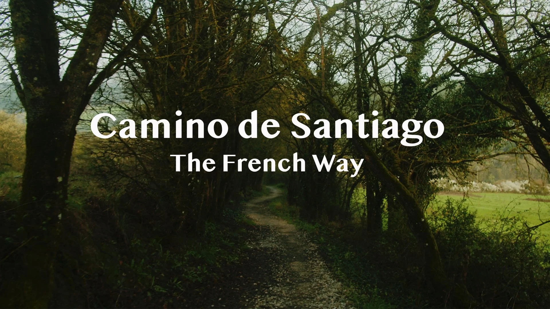 Camino de Santiago / Mary Oliver