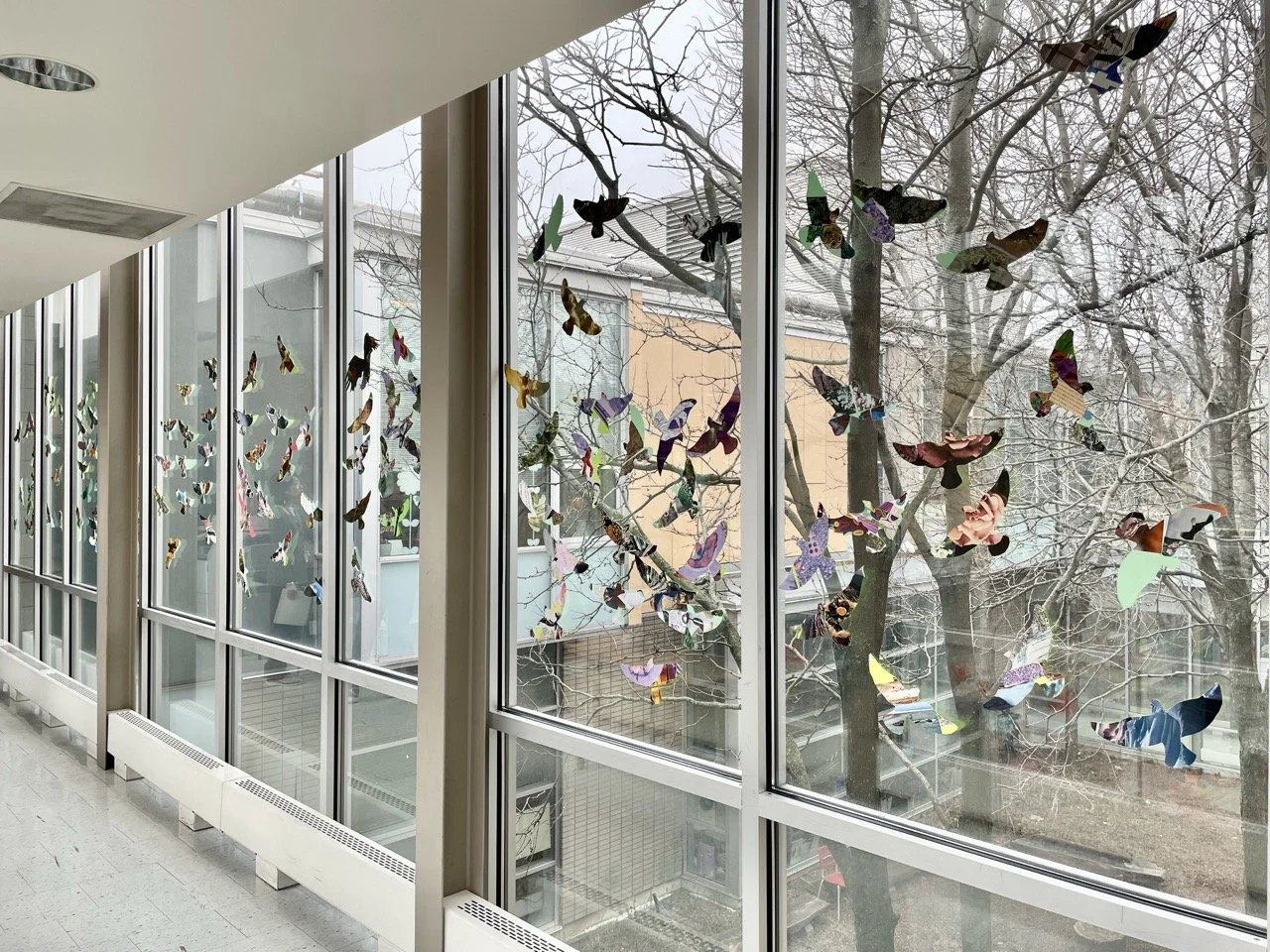 IMG_4937 Large copy.jpeg