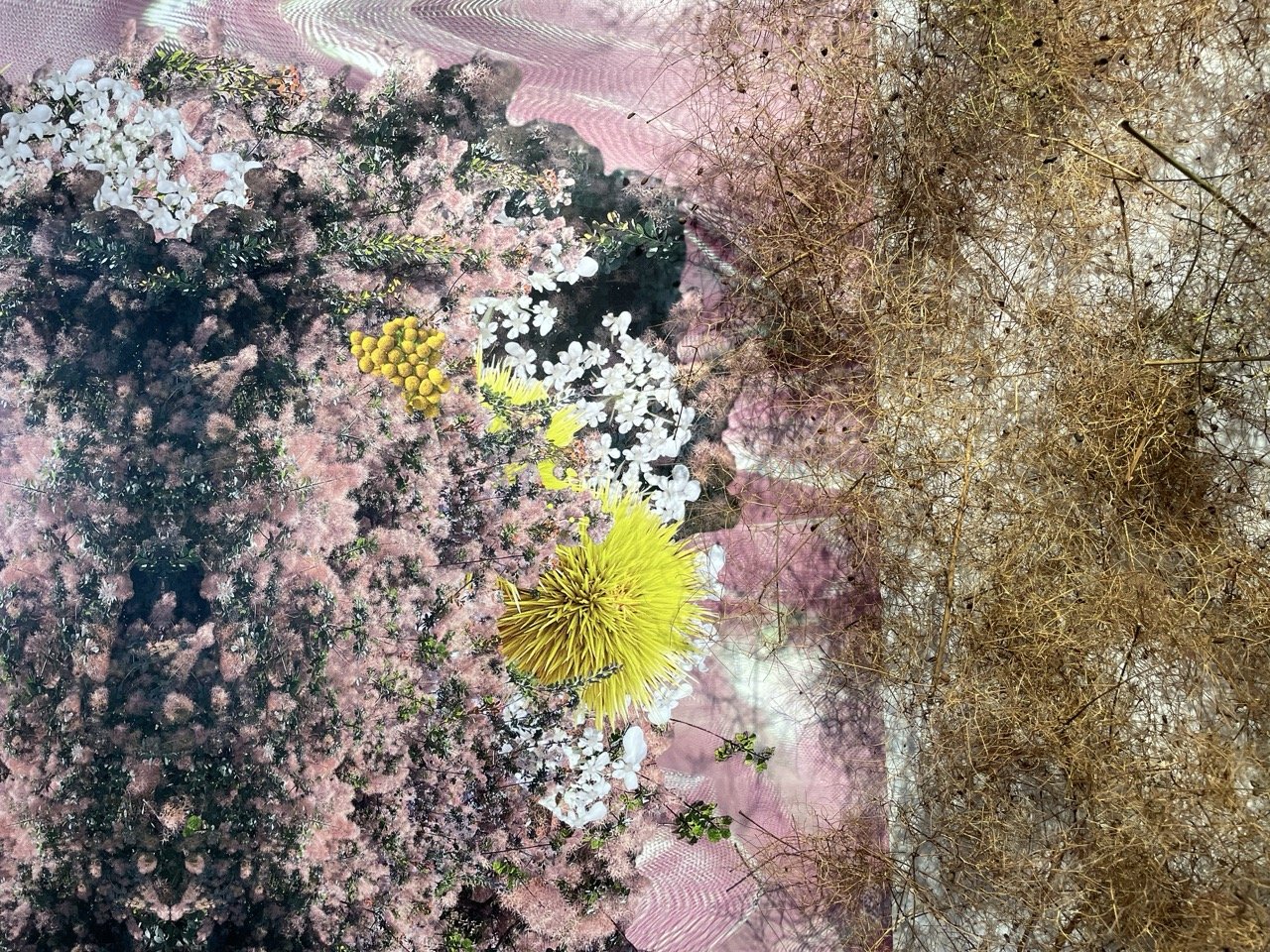 Hinkle_Janet_StormCloud_2023_05 Large.jpeg