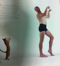 Cat-tastics. Delicious and terrifying.