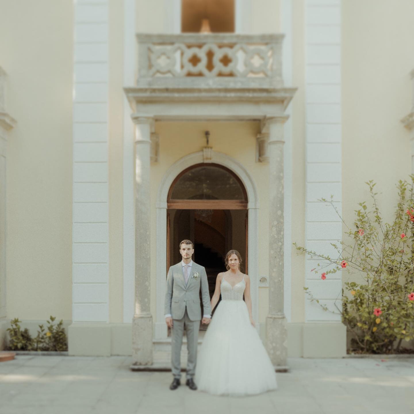 Anna // Willy
Such a pleasure to met this amazing couple

@anlorentz 
@willybrdt 
Dj: @paulsoir 
Band: @bemquereoficial 
Video: @hugosousafilms 
Hairstylist: @lilia_liilys 
MUA: @joanamoreira_makeup 
@cameliagardens 
.
.
.
.
#casamento #wedding #love