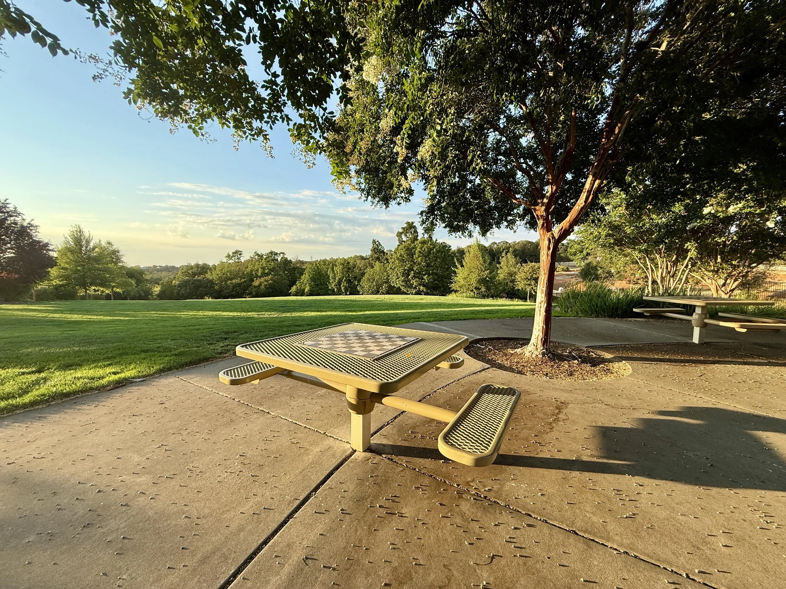 Park 6.jpg