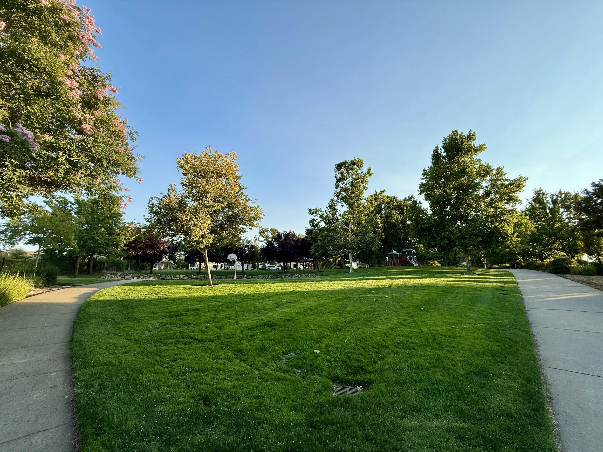 Park 8.jpg