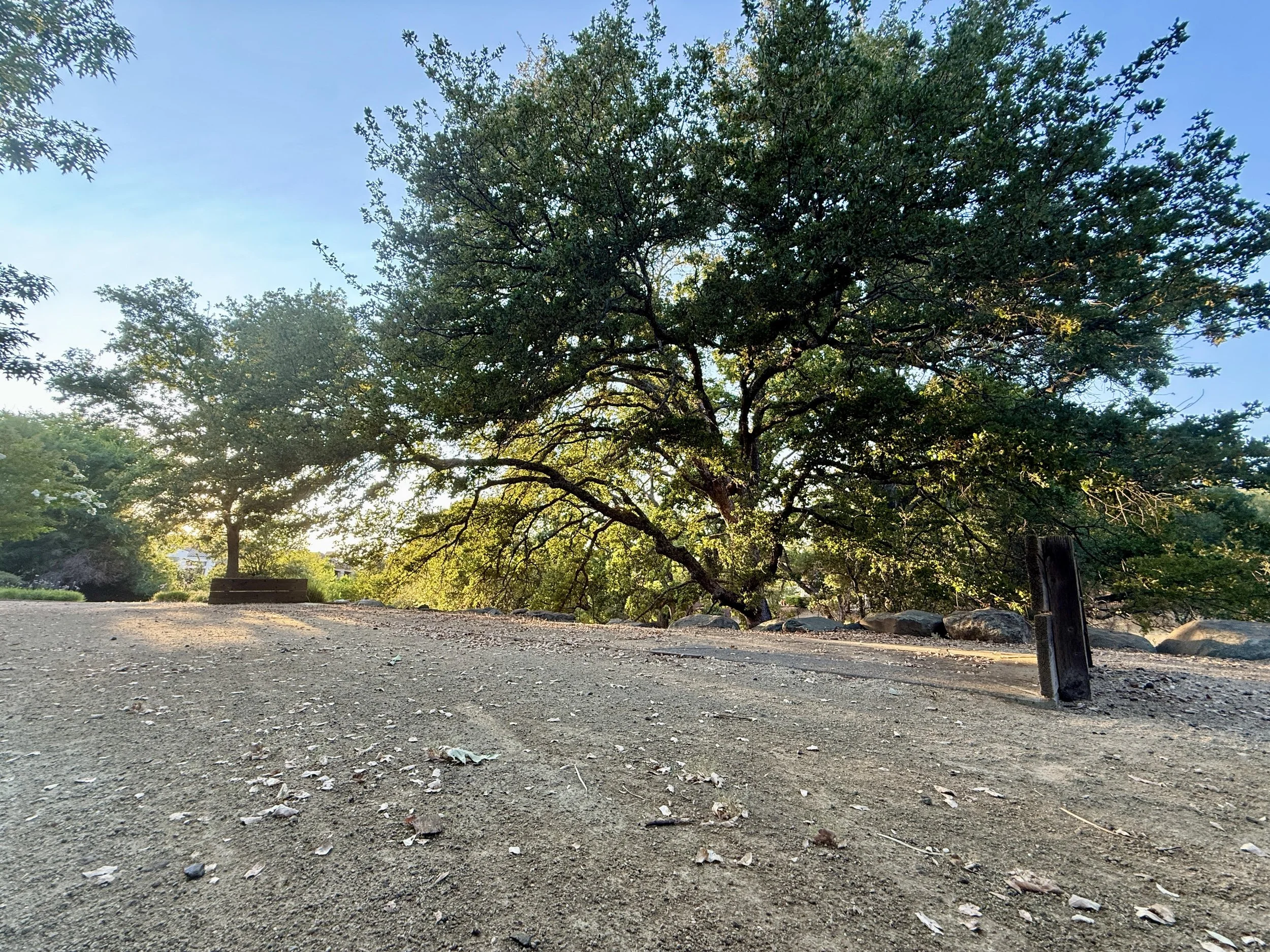 Park 11.jpg
