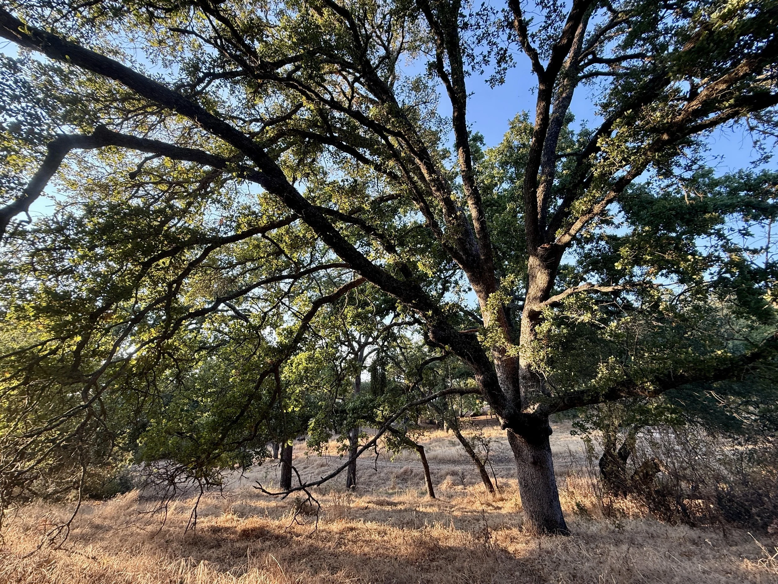 Park 13.jpg