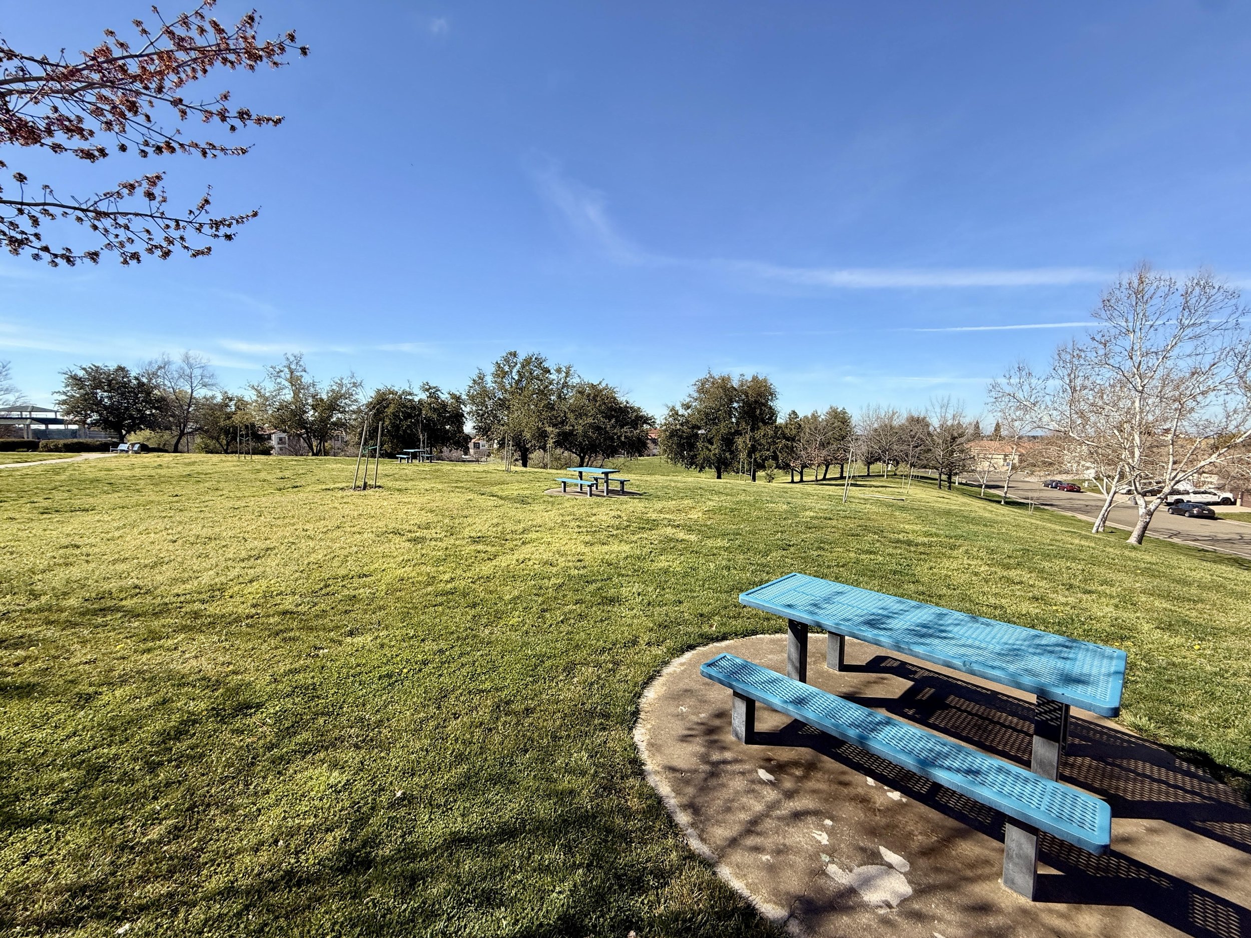 Handy Family Park 5.jpg