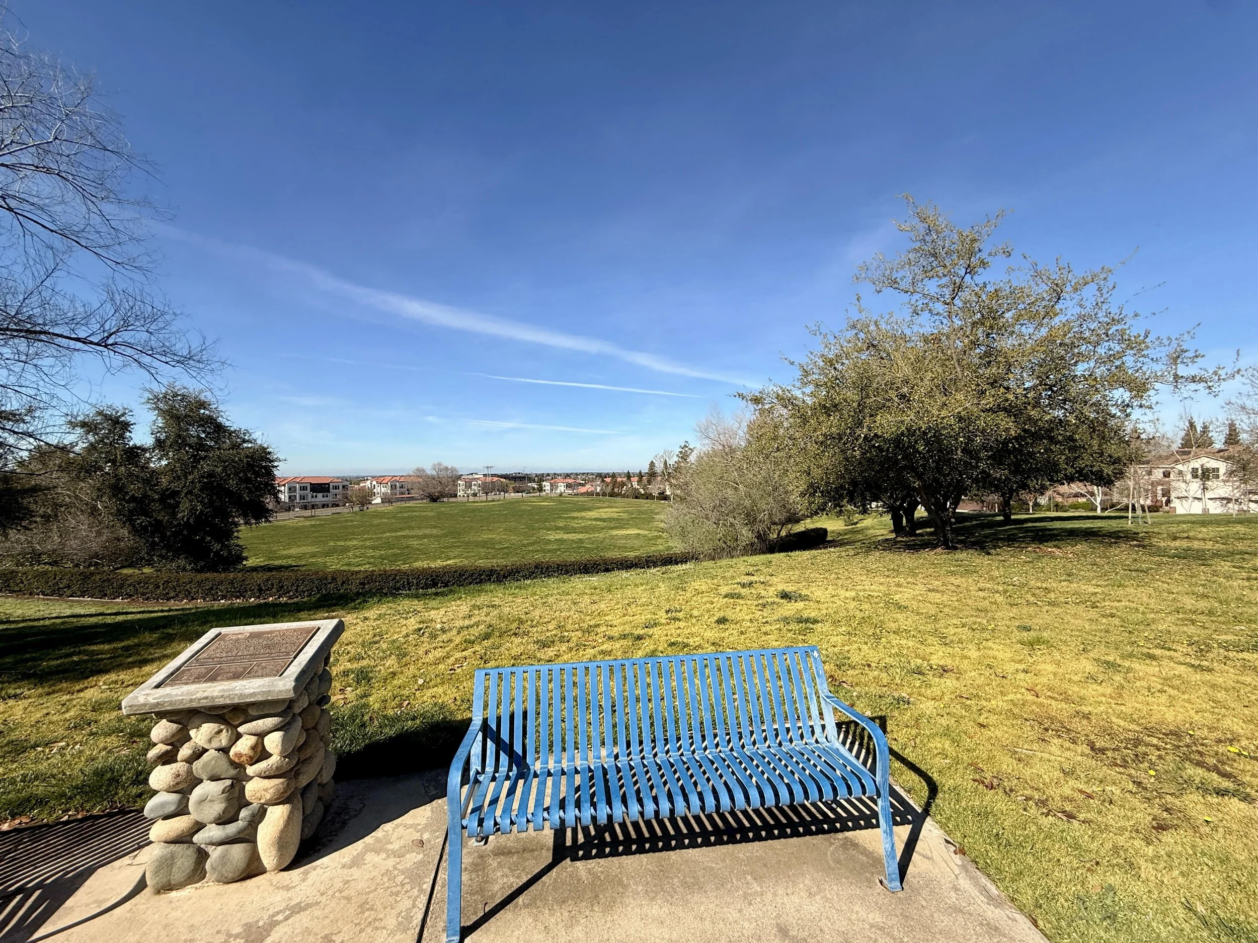 Handy Family Park 7.jpg