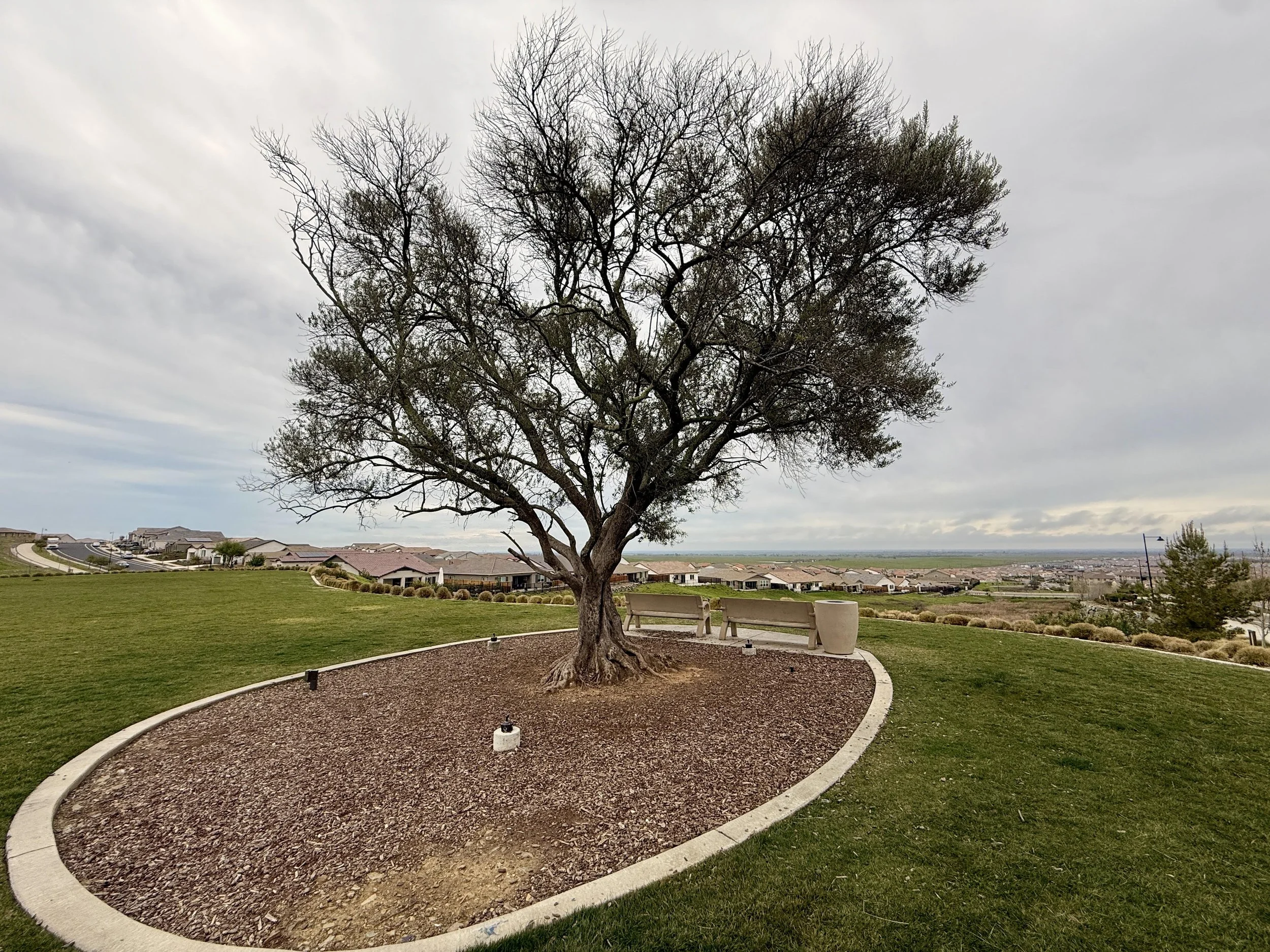 White Rock Park 3.jpg