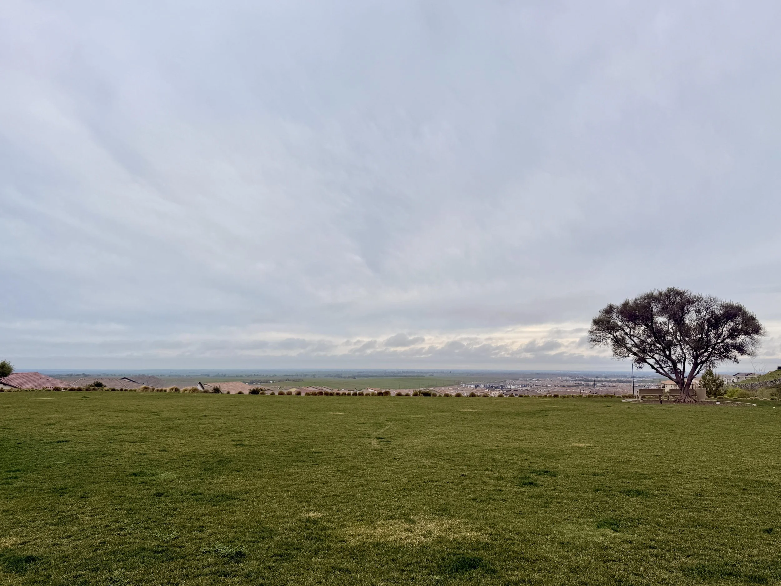 White Rock Park 7.jpg