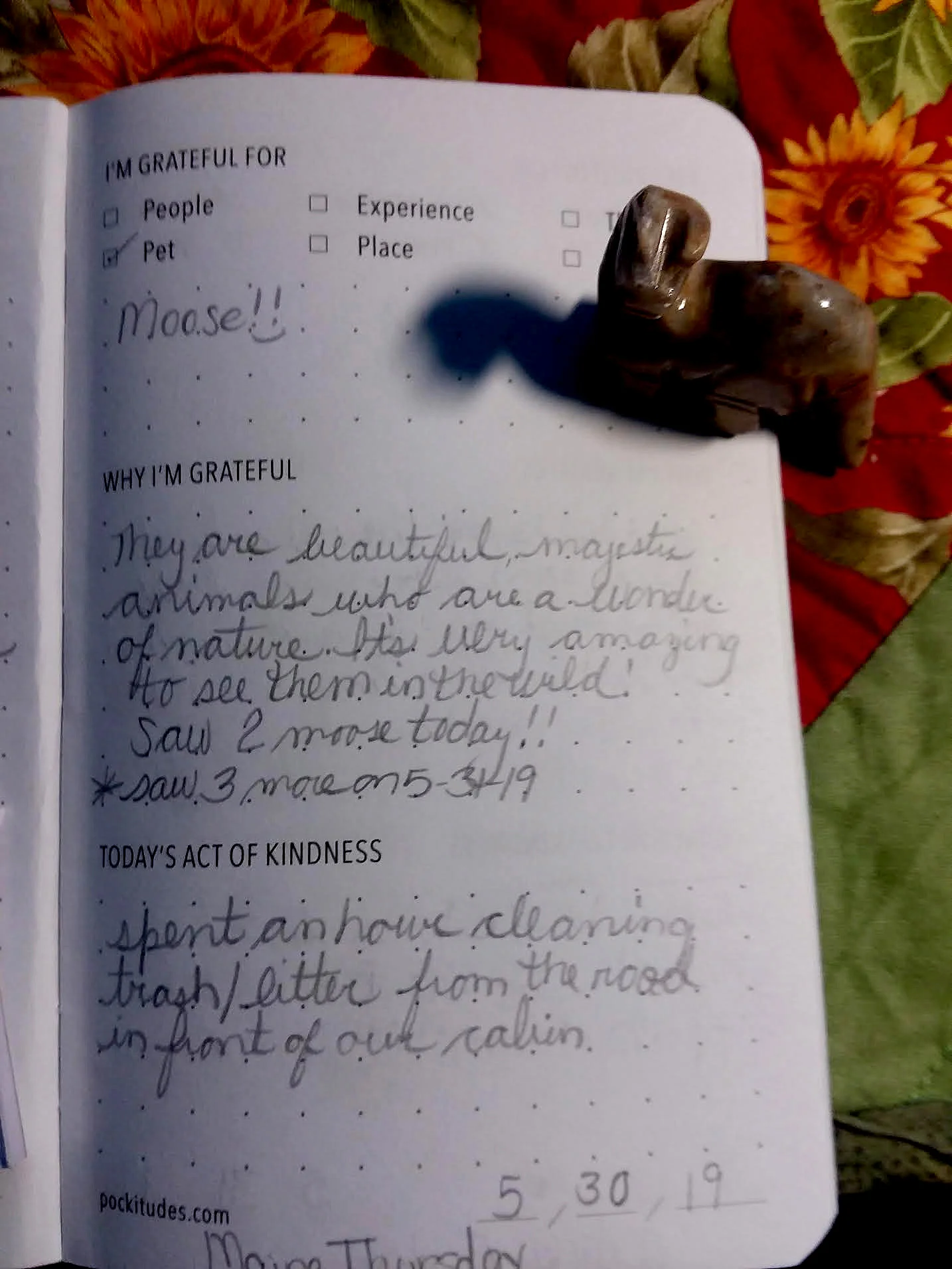 pockitudes-gratitude-journal-christine.jpg