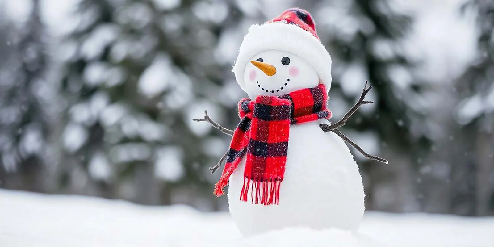 What to Be Grateful For During the Cold, Dark Winter Months