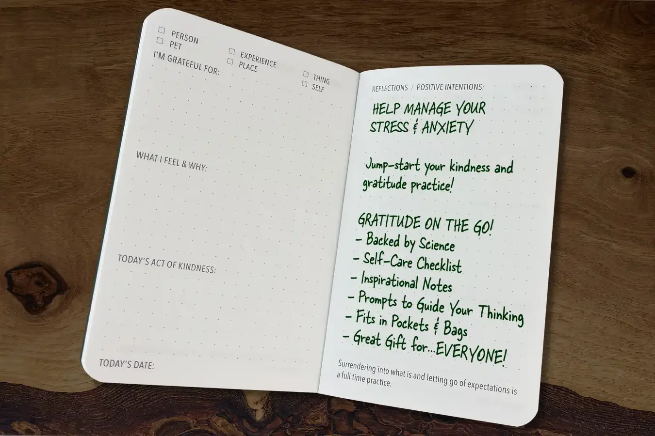 Pockitudes-gratitude-journals-Wisdom-spread.webp
