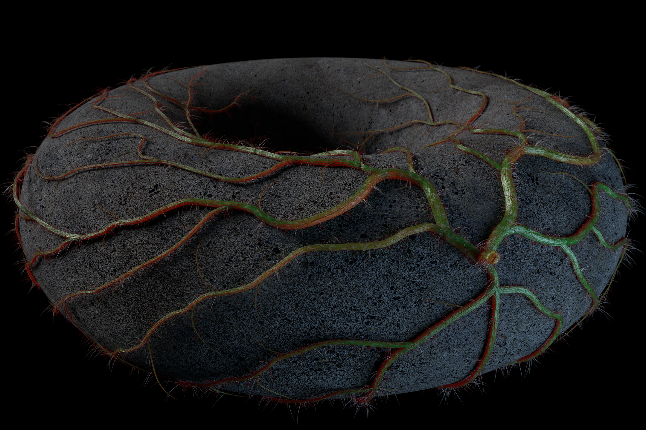 Torus_climb3 2160x1440.png