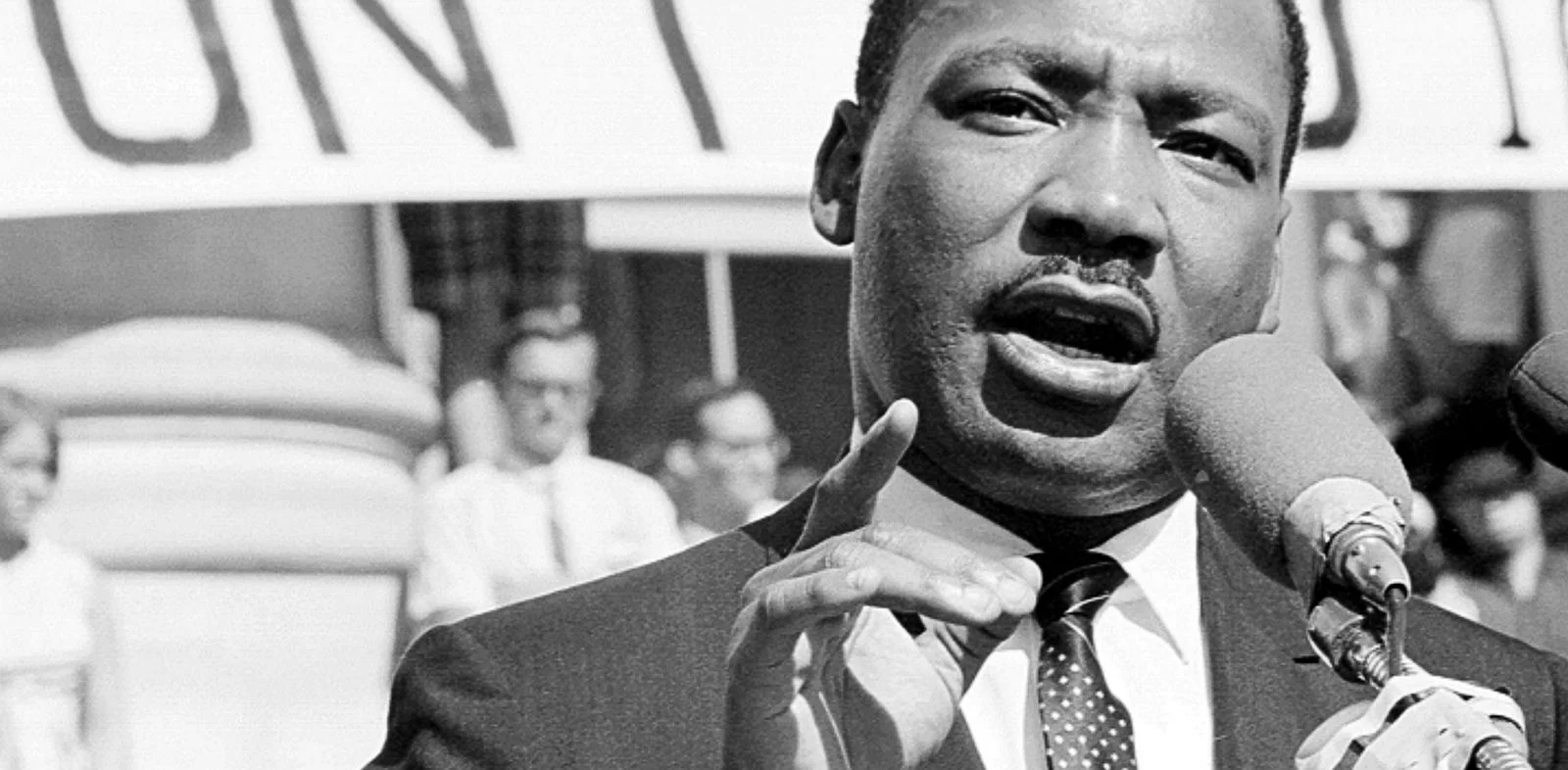 BOA_MLk2.jpg
